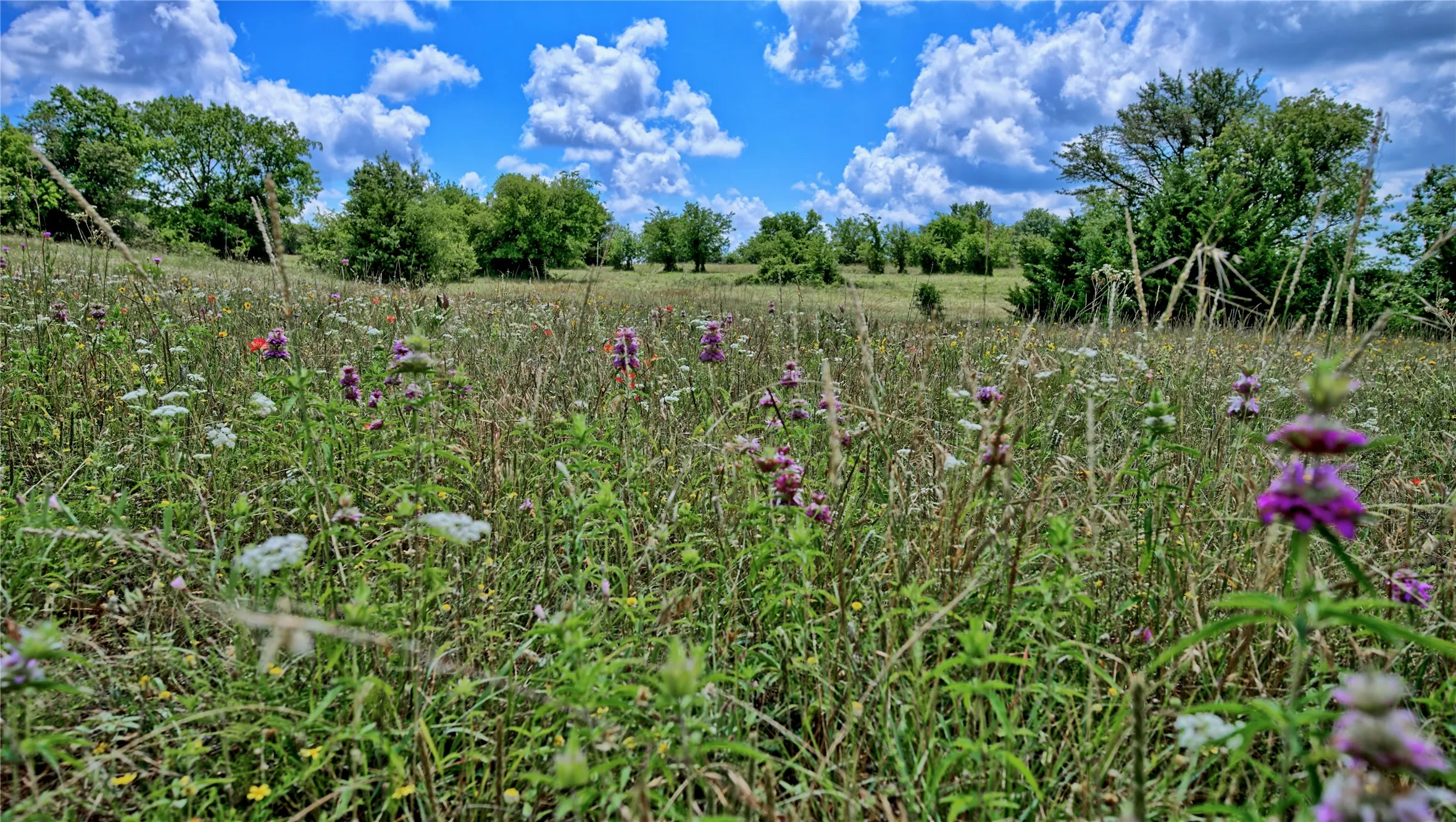 Unimproved Land For Sale in Montague County , 408 FM 922, Forestburg, Texas 76239, 0, 0, Garage spaces, 0 Sqft, built in 0, mls#21325745, Real Estate Agent in Forestburg, Homes For Sale in Montague county, Homes For Sale in Forestburg, Realtor in Forestburg Texas, Real Estate Brokerage Independent Realty Texas, Luminita Cordes Realtor