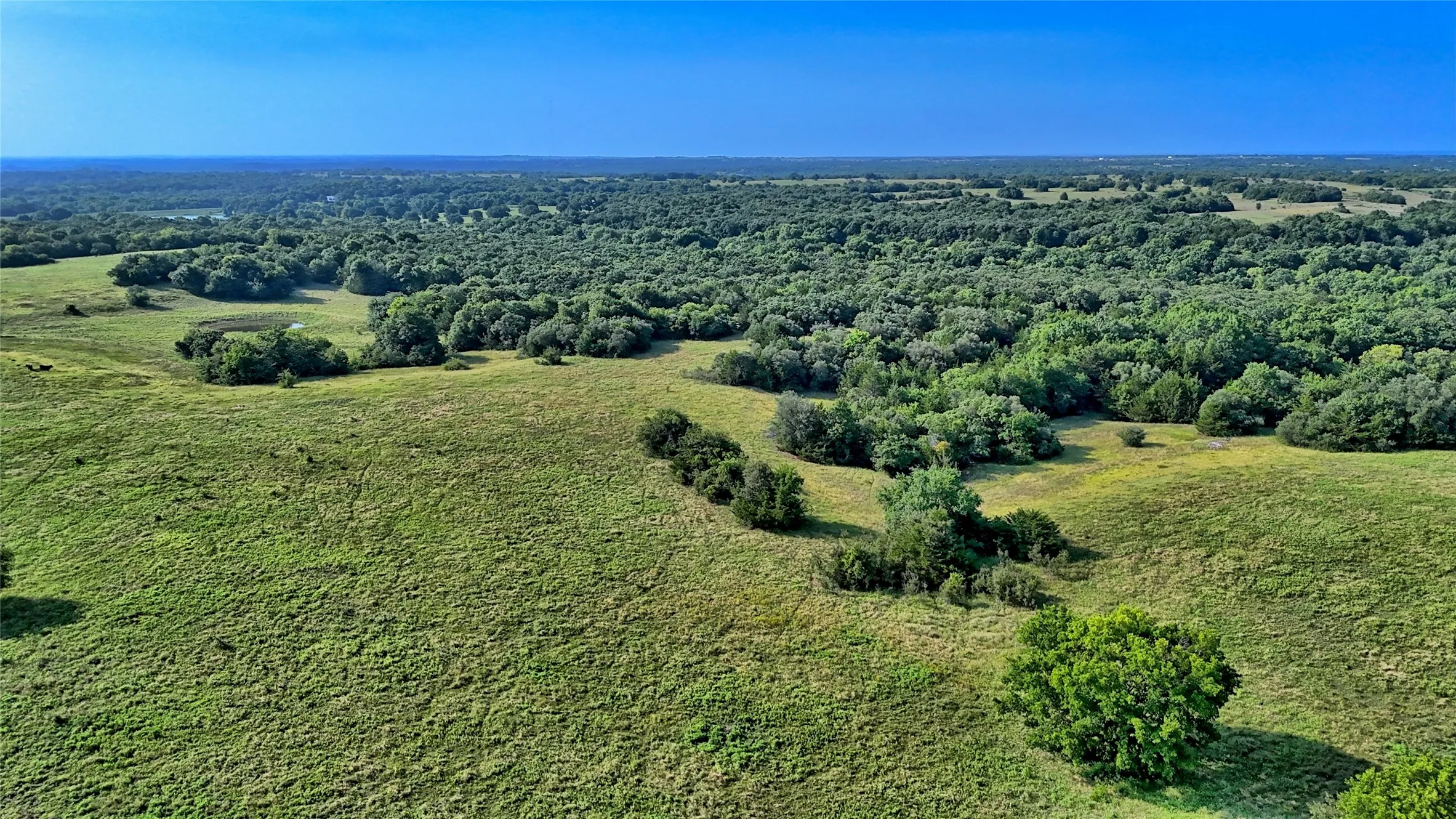 Unimproved Land For Sale in Montague County , 408 FM 922, Forestburg, Texas 76239, 0, 0, Garage spaces, 0 Sqft, built in 0, mls#21325745, Real Estate Agent in Forestburg, Homes For Sale in Montague county, Homes For Sale in Forestburg, Realtor in Forestburg Texas, Real Estate Brokerage Independent Realty Texas, Luminita Cordes Realtor