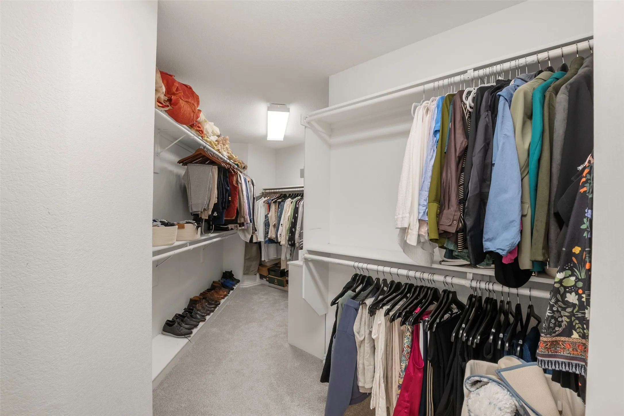 Walk-in closet featuring light gray carpeting, multiple shelving units, and abundant hanging storage