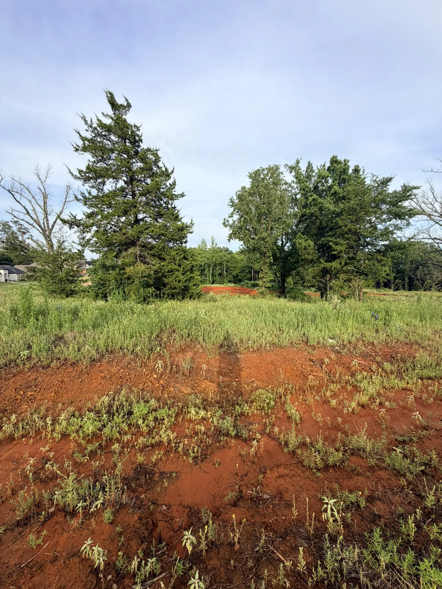 Unimproved Land For Sale in Smith County , 12335 Oak Grove Drive, Tyler, Texas 75706, 0, 0, Garage spaces, 0 Sqft, built in 0, mls#21325357, Real Estate Agent in Tyler, Homes For Sale in Smith county, Homes For Sale in Tyler, Realtor in Tyler Texas, Real Estate Brokerage Independent Realty Texas, Luminita Cordes Realtor