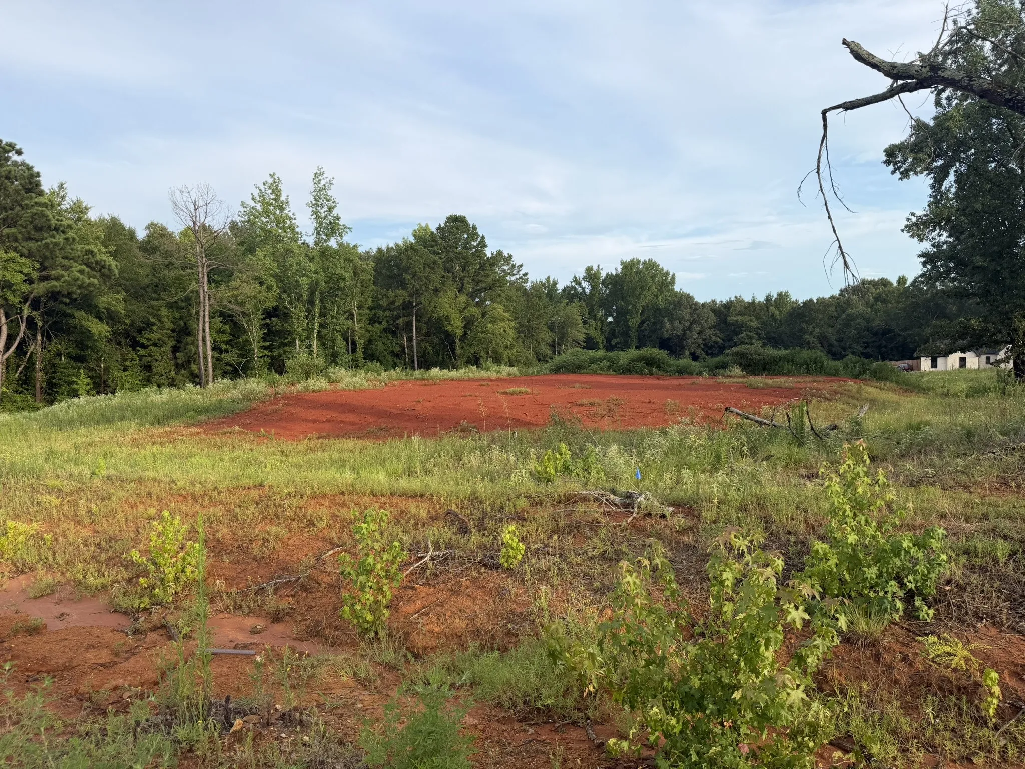 Unimproved Land For Sale in Smith County , 12335 Oak Grove Drive, Tyler, Texas 75706, 0, 0, Garage spaces, 0 Sqft, built in 0, mls#21325357, Real Estate Agent in Tyler, Homes For Sale in Smith county, Homes For Sale in Tyler, Realtor in Tyler Texas, Real Estate Brokerage Independent Realty Texas, Luminita Cordes Realtor
