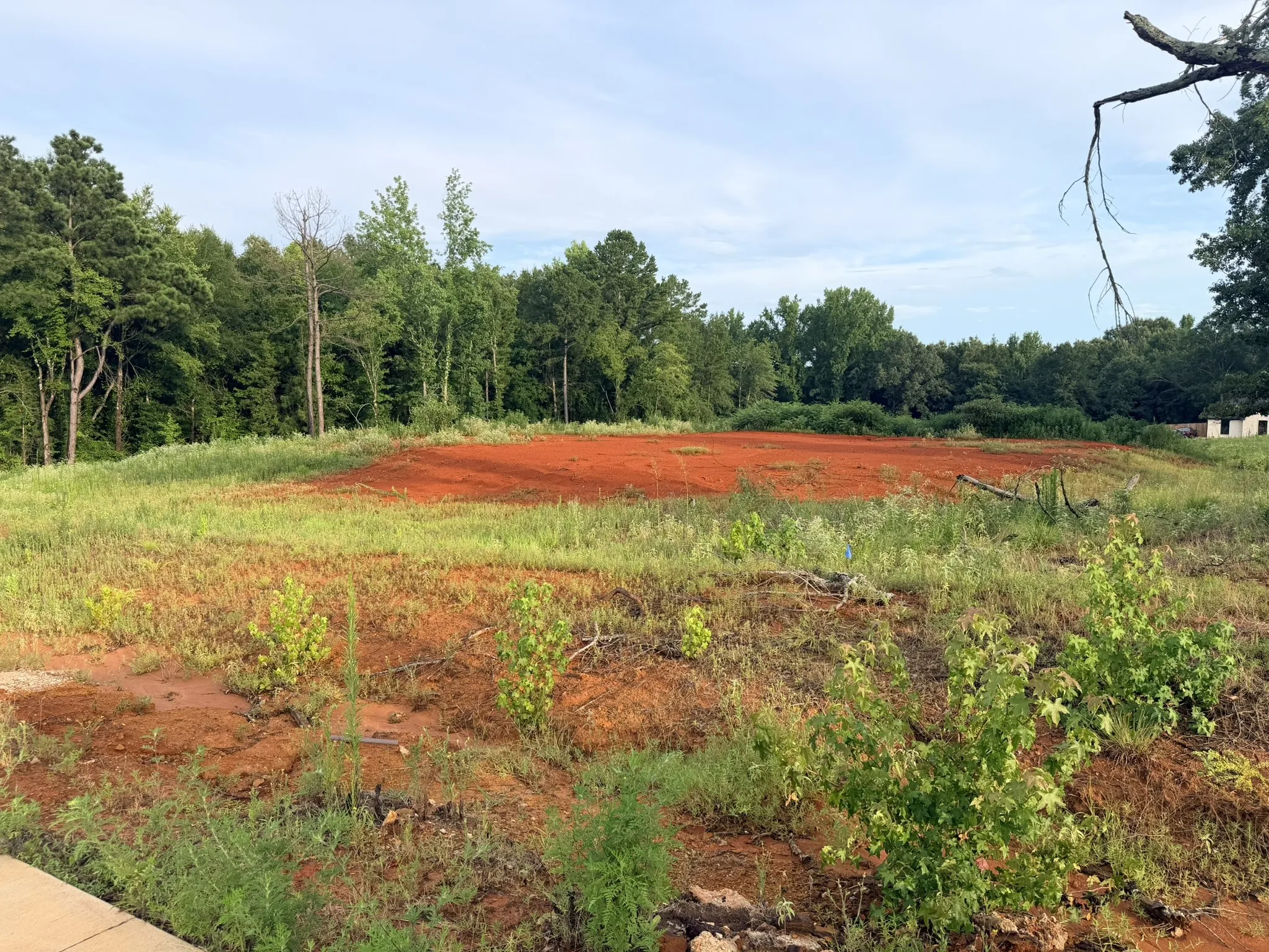 Unimproved Land For Sale in Smith County , 12335 Oak Grove Drive, Tyler, Texas 75706, 0, 0, Garage spaces, 0 Sqft, built in 0, mls#21325357, Real Estate Agent in Tyler, Homes For Sale in Smith county, Homes For Sale in Tyler, Realtor in Tyler Texas, Real Estate Brokerage Independent Realty Texas, Luminita Cordes Realtor