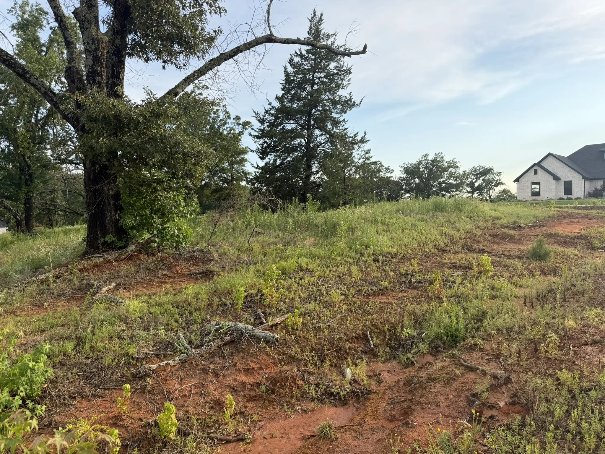 Unimproved Land For Sale in Smith County , 12335 Oak Grove Drive, Tyler, Texas 75706, 0, 0, Garage spaces, 0 Sqft, built in 0, mls#21325357, Real Estate Agent in Tyler, Homes For Sale in Smith county, Homes For Sale in Tyler, Realtor in Tyler Texas, Real Estate Brokerage Independent Realty Texas, Luminita Cordes Realtor