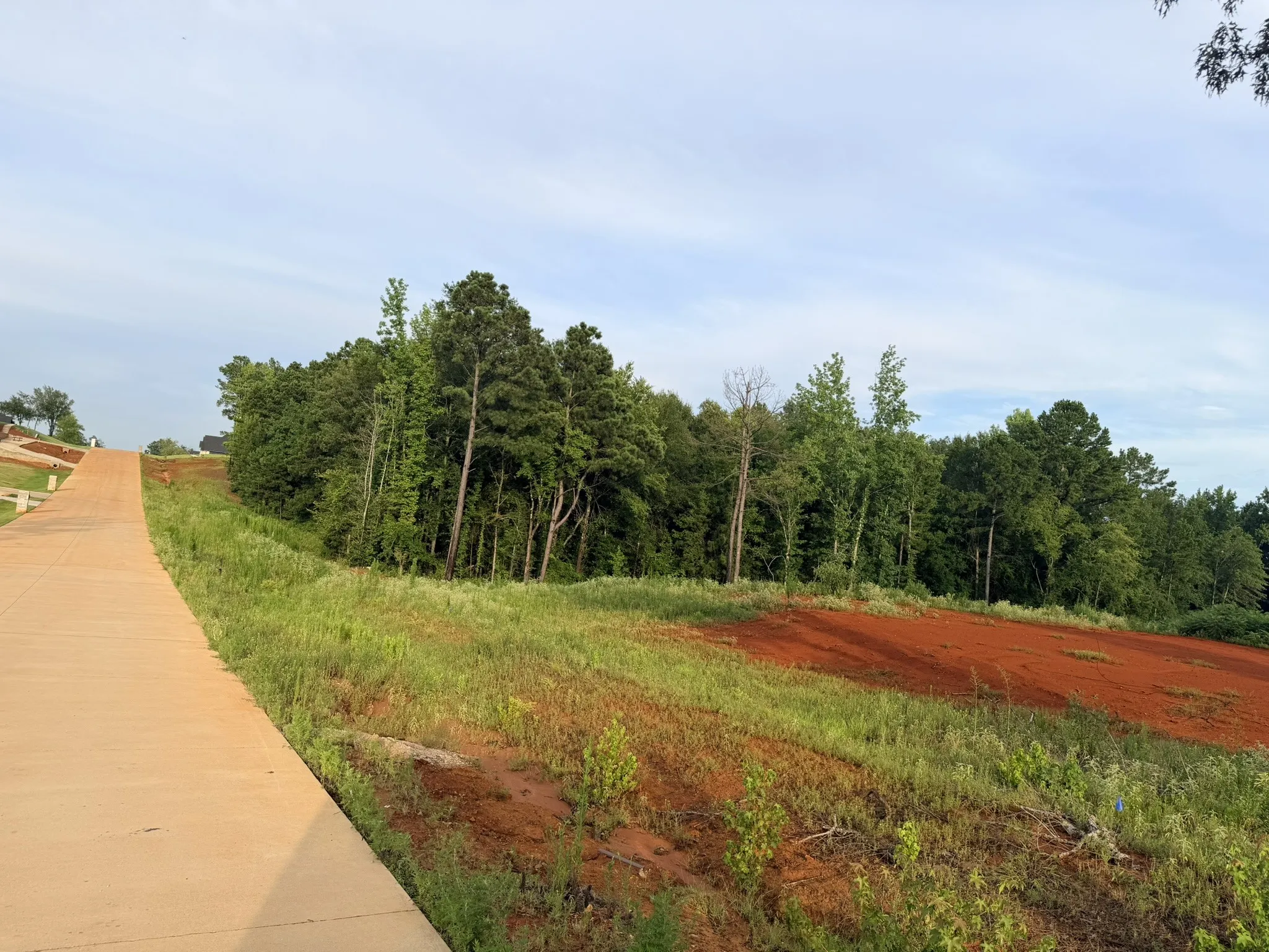 Unimproved Land For Sale in Smith County , 12335 Oak Grove Drive, Tyler, Texas 75706, 0, 0, Garage spaces, 0 Sqft, built in 0, mls#21325357, Real Estate Agent in Tyler, Homes For Sale in Smith county, Homes For Sale in Tyler, Realtor in Tyler Texas, Real Estate Brokerage Independent Realty Texas, Luminita Cordes Realtor
