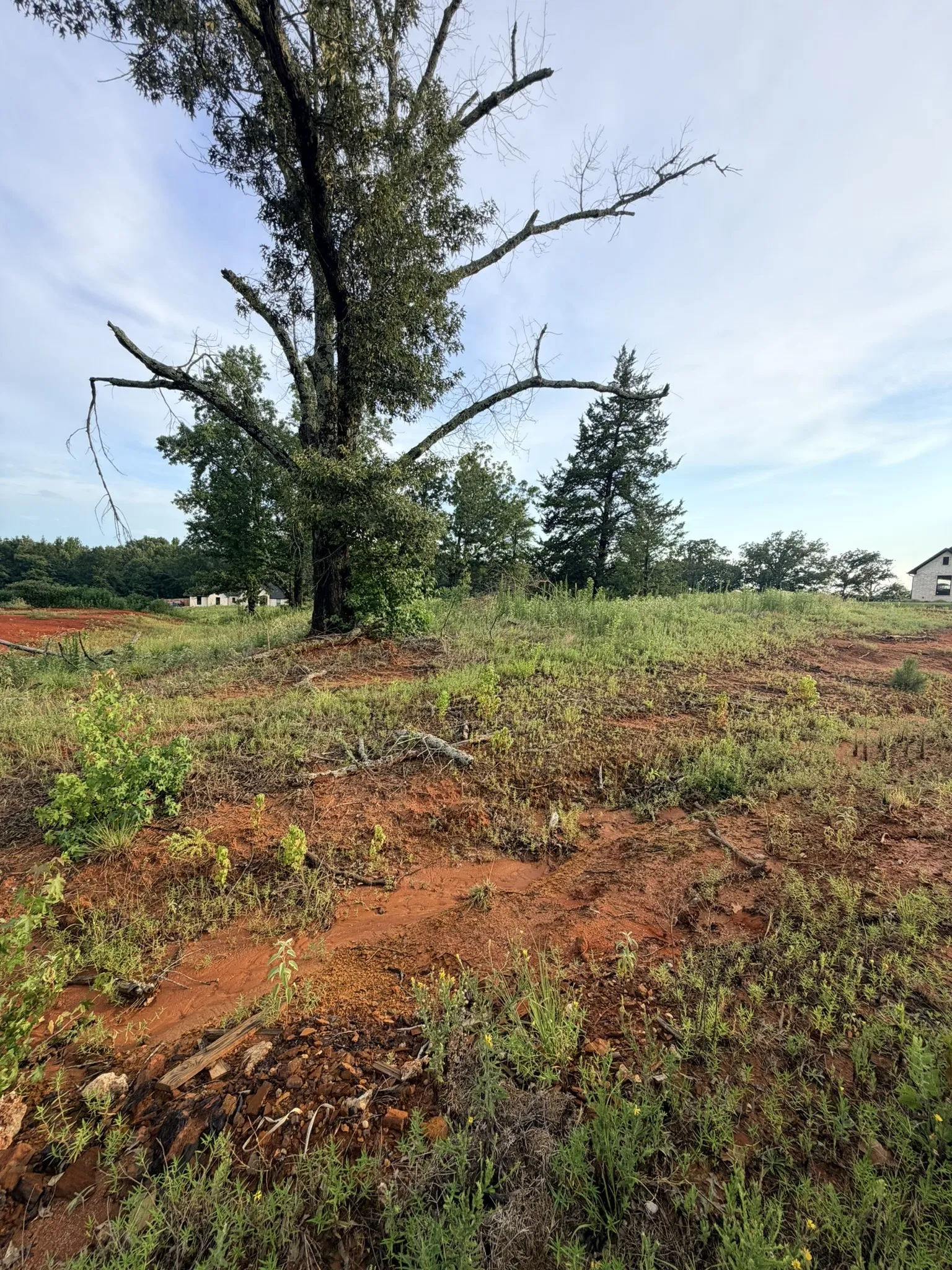 Unimproved Land For Sale in Smith County , 12335 Oak Grove Drive, Tyler, Texas 75706, 0, 0, Garage spaces, 0 Sqft, built in 0, mls#21325357, Real Estate Agent in Tyler, Homes For Sale in Smith county, Homes For Sale in Tyler, Realtor in Tyler Texas, Real Estate Brokerage Independent Realty Texas, Luminita Cordes Realtor