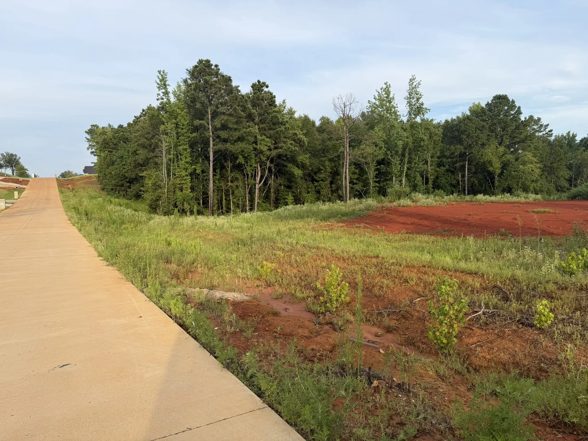 Unimproved Land For Sale in Smith County , 12335 Oak Grove Drive, Tyler, Texas 75706, 0, 0, Garage spaces, 0 Sqft, built in 0, mls#21325357, Real Estate Agent in Tyler, Homes For Sale in Smith county, Homes For Sale in Tyler, Realtor in Tyler Texas, Real Estate Brokerage Independent Realty Texas, Luminita Cordes Realtor