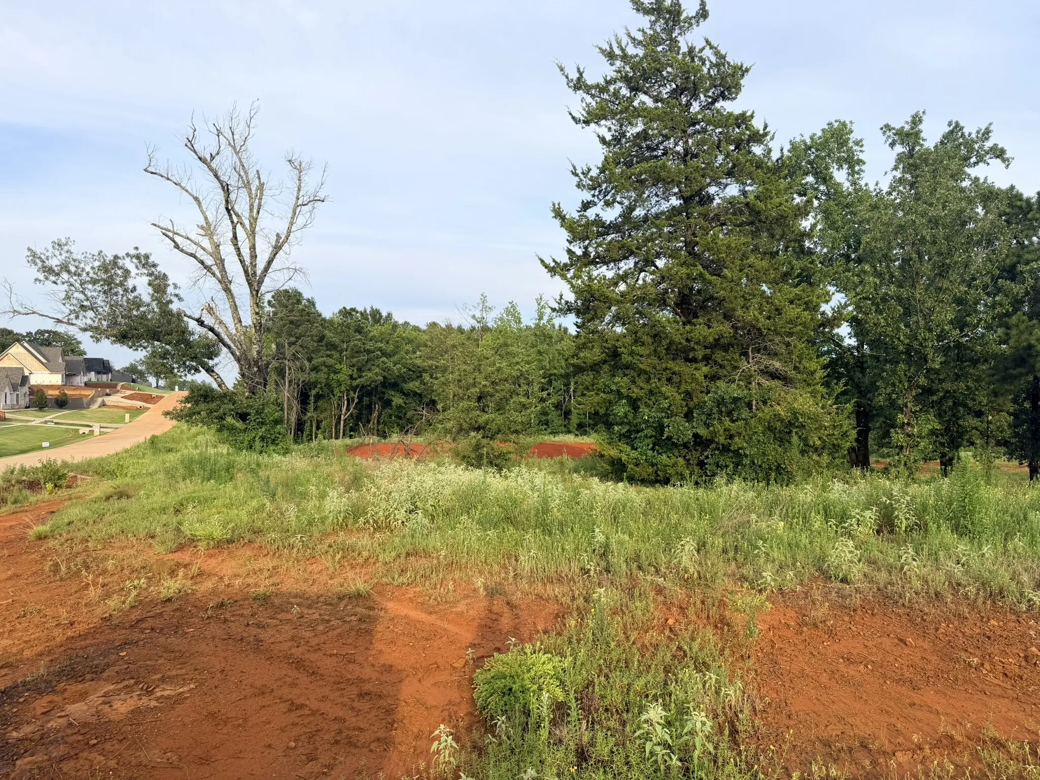 Unimproved Land For Sale in Smith County , 12335 Oak Grove Drive, Tyler, Texas 75706, 0, 0, Garage spaces, 0 Sqft, built in 0, mls#21325357, Real Estate Agent in Tyler, Homes For Sale in Smith county, Homes For Sale in Tyler, Realtor in Tyler Texas, Real Estate Brokerage Independent Realty Texas, Luminita Cordes Realtor