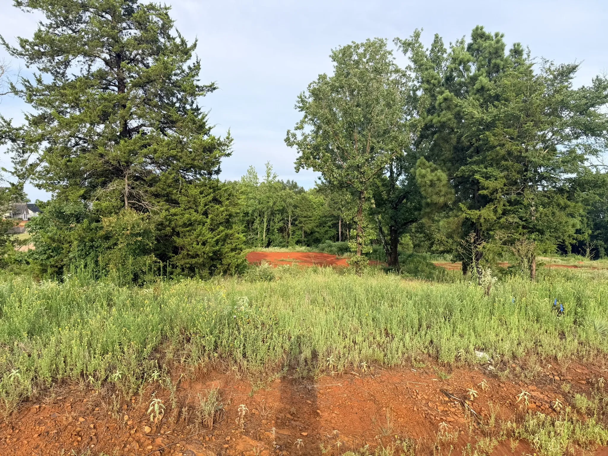 Unimproved Land For Sale in Smith County , 12335 Oak Grove Drive, Tyler, Texas 75706, 0, 0, Garage spaces, 0 Sqft, built in 0, mls#21325357, Real Estate Agent in Tyler, Homes For Sale in Smith county, Homes For Sale in Tyler, Realtor in Tyler Texas, Real Estate Brokerage Independent Realty Texas, Luminita Cordes Realtor