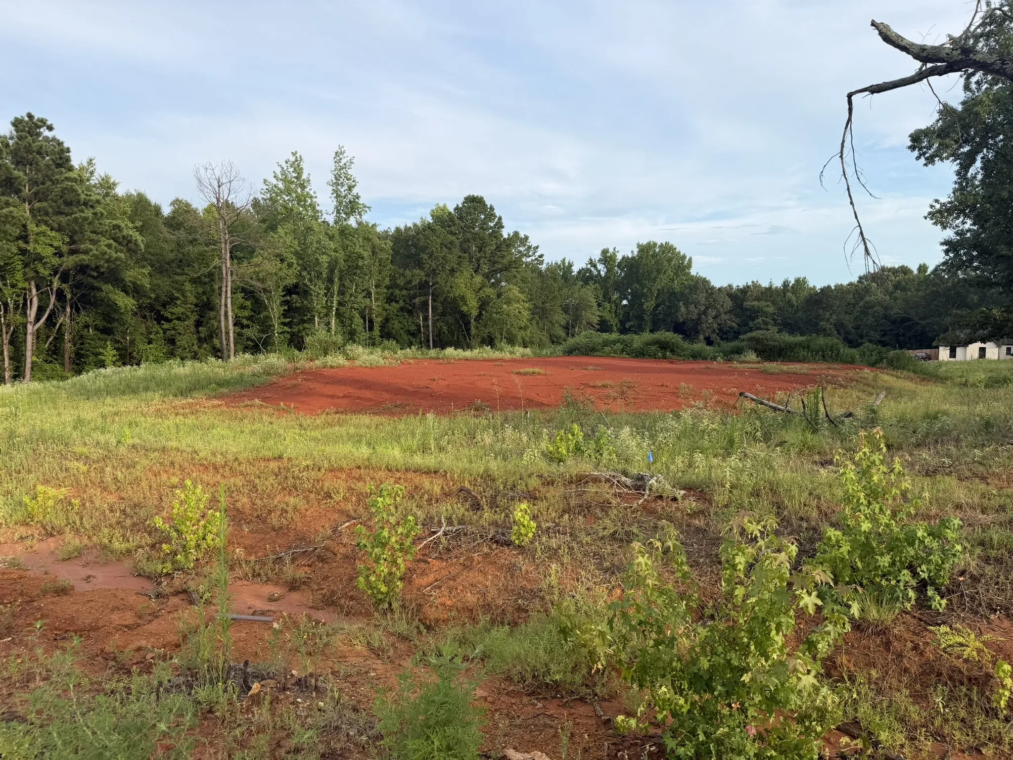Unimproved Land For Sale in Smith County , 12335 Oak Grove Drive, Tyler, Texas 75706, 0, 0, Garage spaces, 0 Sqft, built in 0, mls#21325357, Real Estate Agent in Tyler, Homes For Sale in Smith county, Homes For Sale in Tyler, Realtor in Tyler Texas, Real Estate Brokerage Independent Realty Texas, Luminita Cordes Realtor