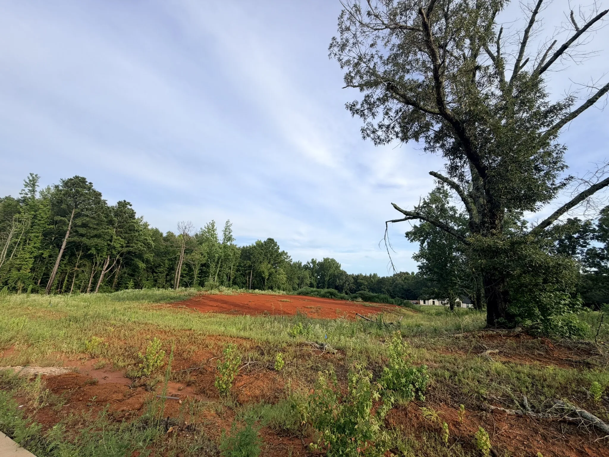 Unimproved Land For Sale in Smith County , 12335 Oak Grove Drive, Tyler, Texas 75706, 0, 0, Garage spaces, 0 Sqft, built in 0, mls#21325357, Real Estate Agent in Tyler, Homes For Sale in Smith county, Homes For Sale in Tyler, Realtor in Tyler Texas, Real Estate Brokerage Independent Realty Texas, Luminita Cordes Realtor