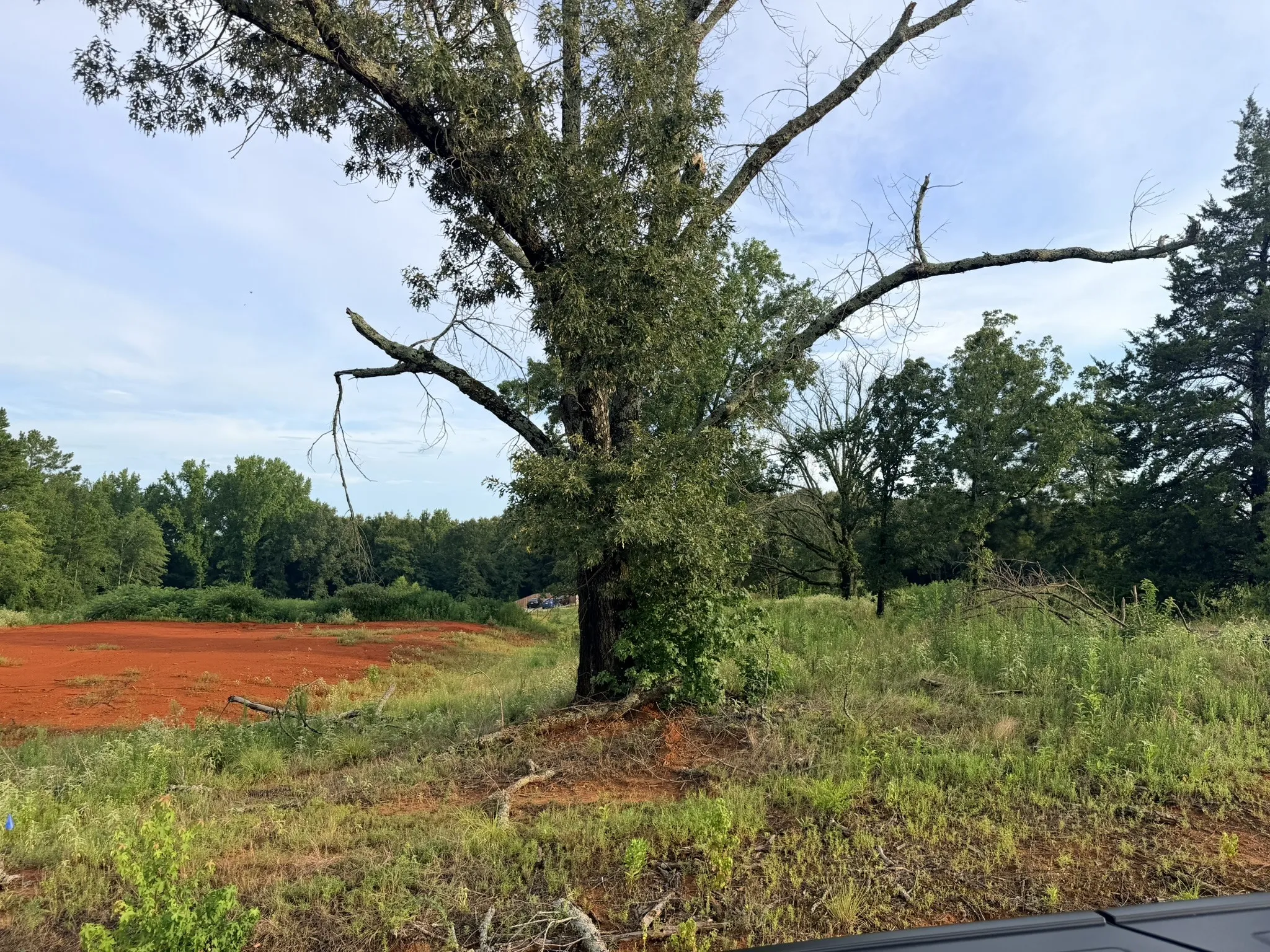 Unimproved Land For Sale in Smith County , 12335 Oak Grove Drive, Tyler, Texas 75706, 0, 0, Garage spaces, 0 Sqft, built in 0, mls#21325357, Real Estate Agent in Tyler, Homes For Sale in Smith county, Homes For Sale in Tyler, Realtor in Tyler Texas, Real Estate Brokerage Independent Realty Texas, Luminita Cordes Realtor