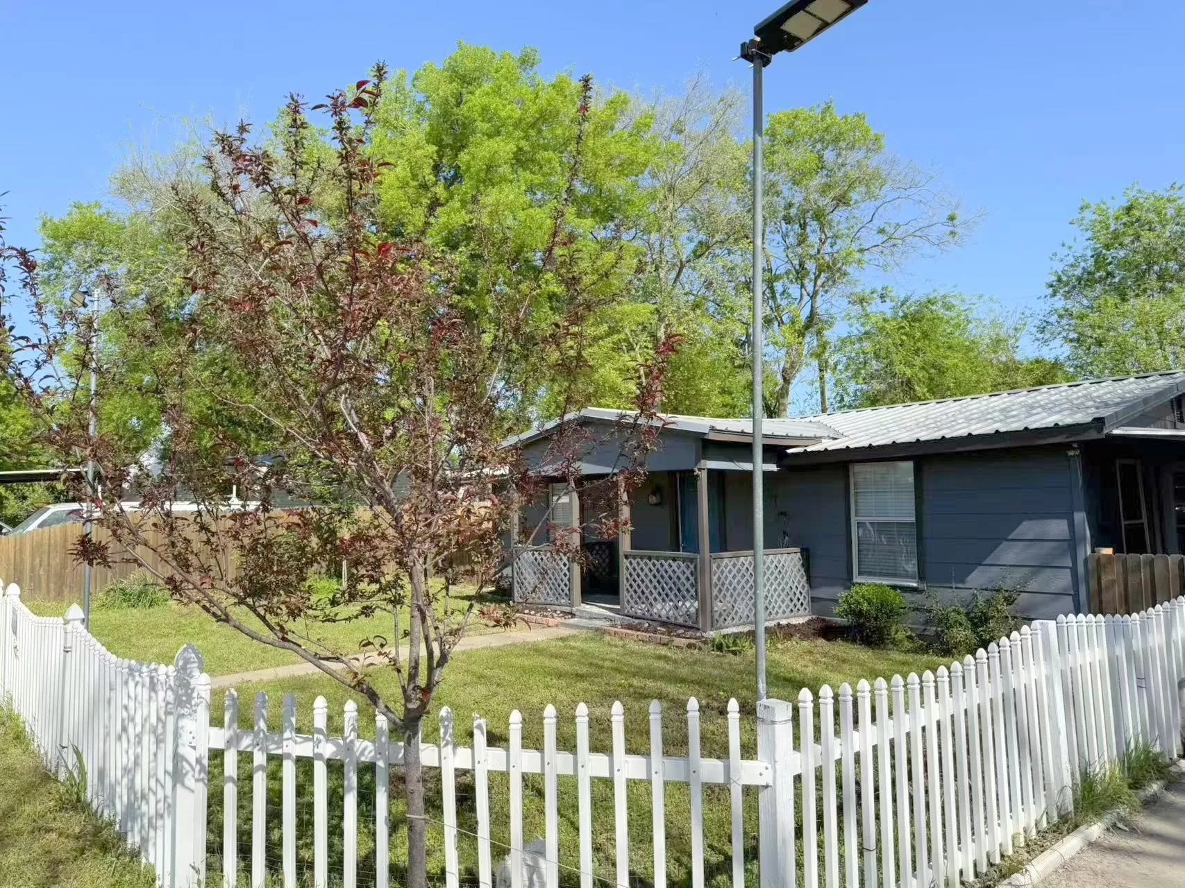 Front yard featuring a white picket fence and a mature tree