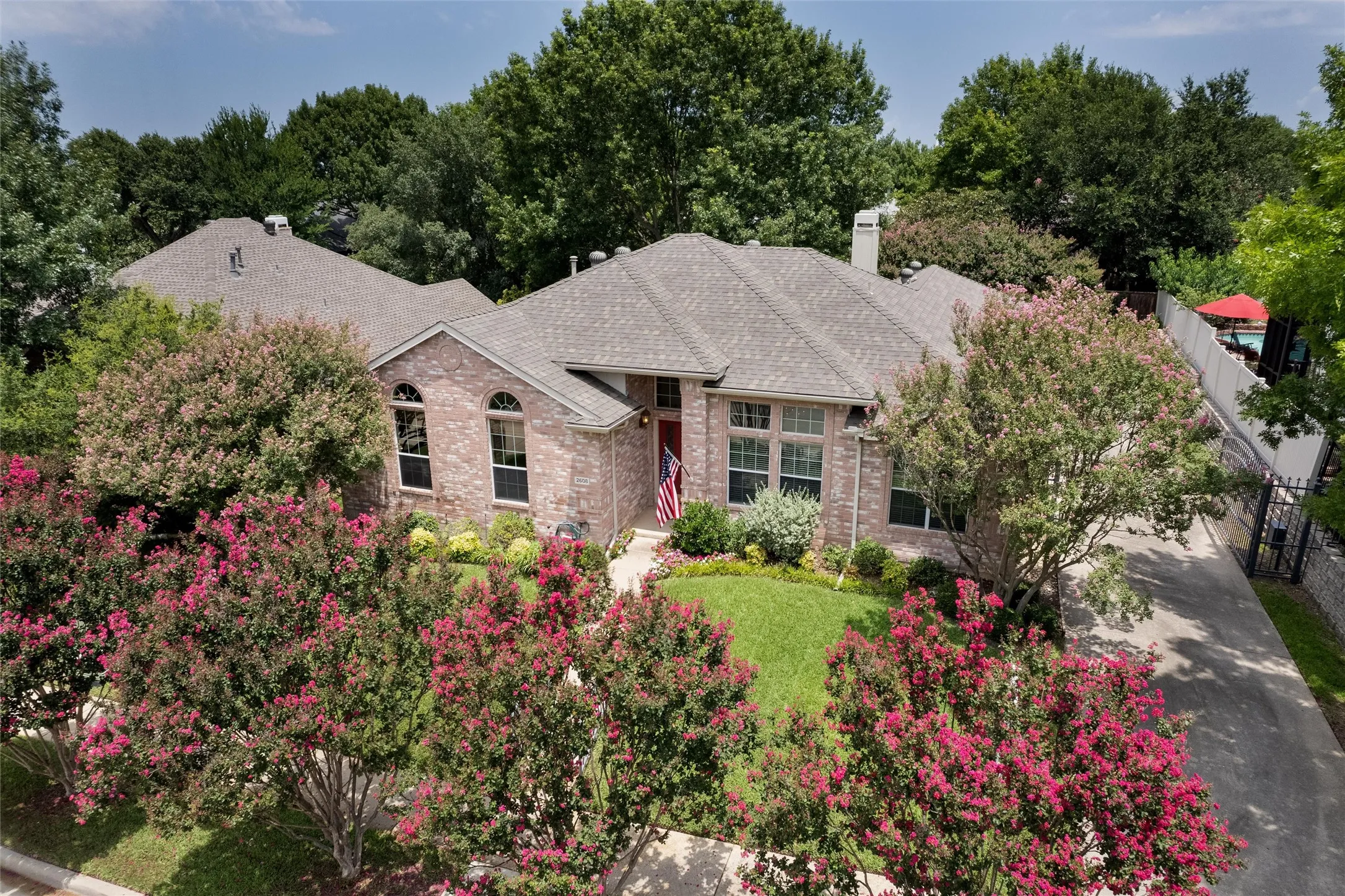Beautiful Crepe Myrtles.
