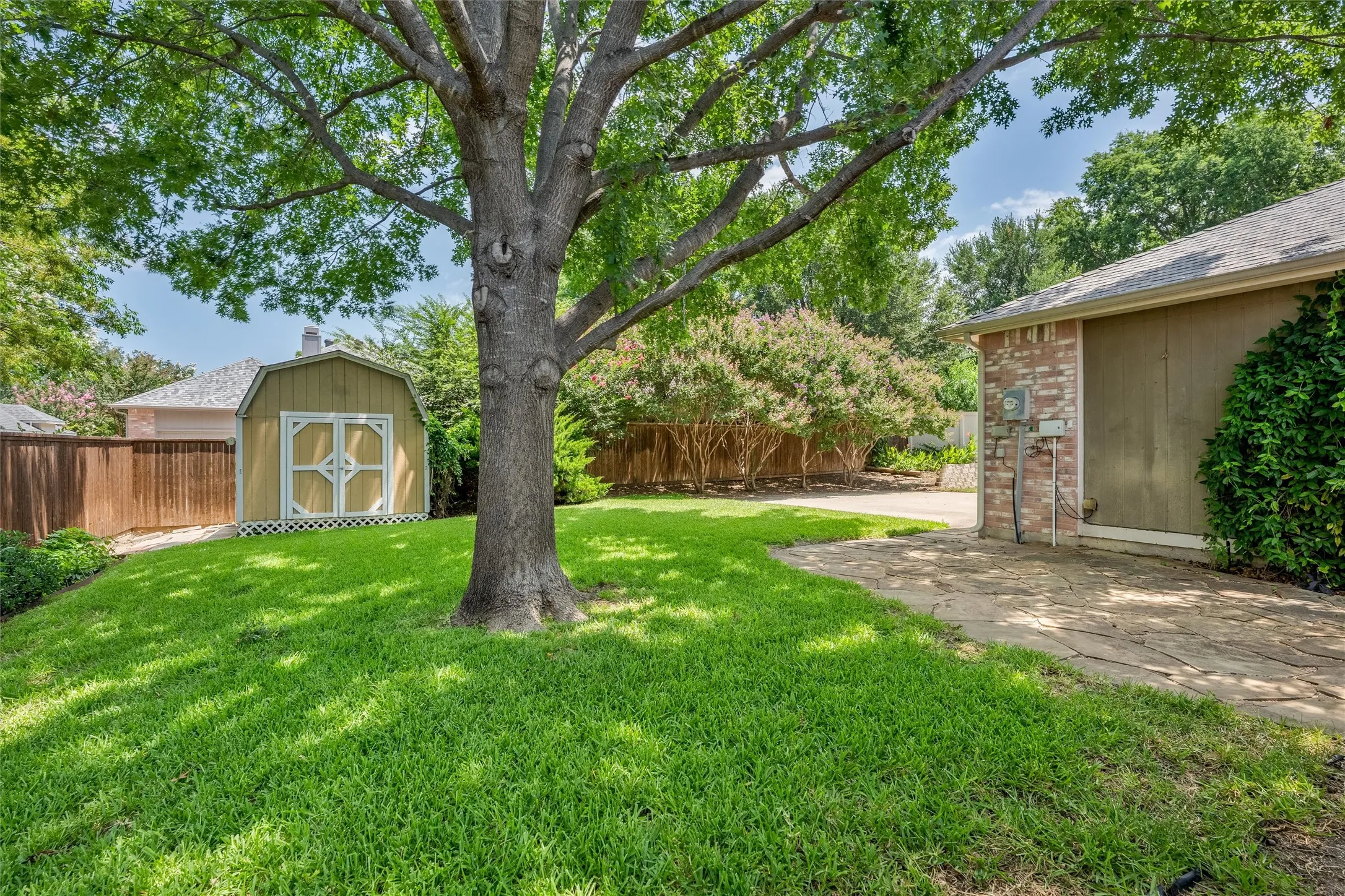 Backyard with privacy fence and lovely Red Oak tree