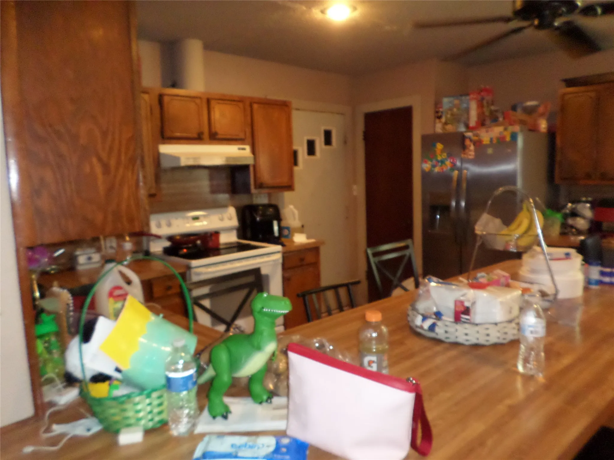 Image quality insufficient for description