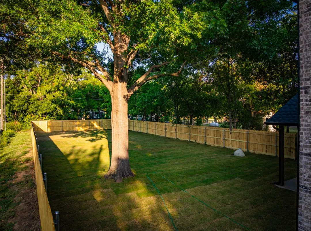 Expansive backyard featuring a mature maple tree, newly installed wood privacy fencing, and a freshly laid lawn