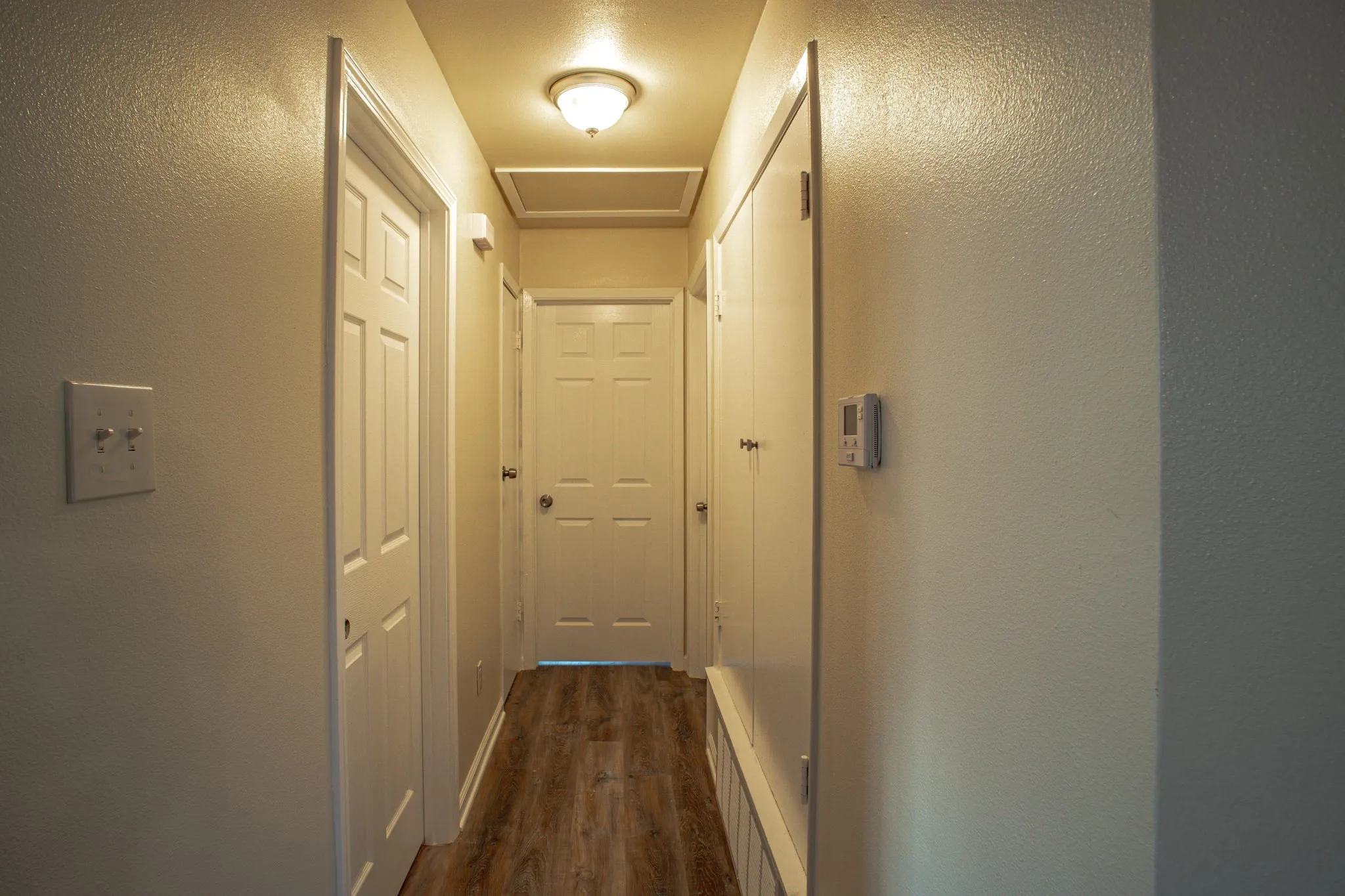 Hallway featuring wood-finish flooring, multiple paneled doors, and a flush mount ceiling light fixture