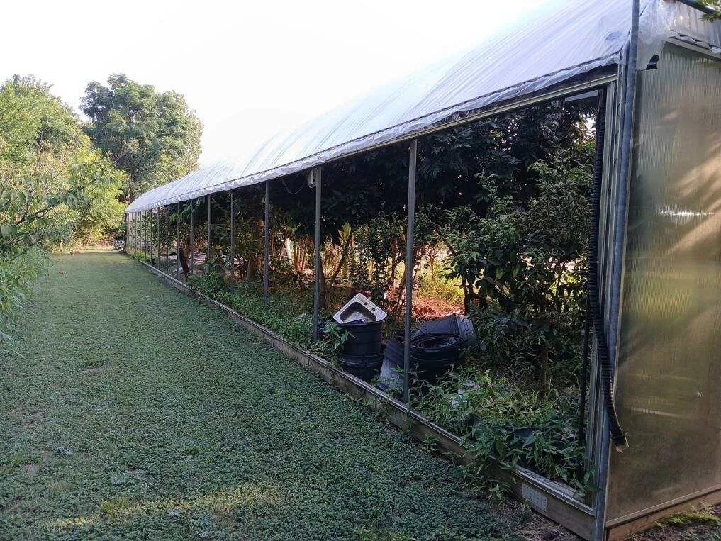 Farm For Sale in Dallas County , 6174 Farnsworth Drive, Dallas, Texas 75236, 4 Bedroom, 3 Bathroom, Garage spaces, 2,660 Sqft, built in 1973, mls#21325039, Real Estate Agent in Dallas, Homes For Sale in Dallas county, Homes For Sale in Dallas, Realtor in Dallas Texas, Real Estate Brokerage Independent Realty Texas, Luminita Cordes Realtor