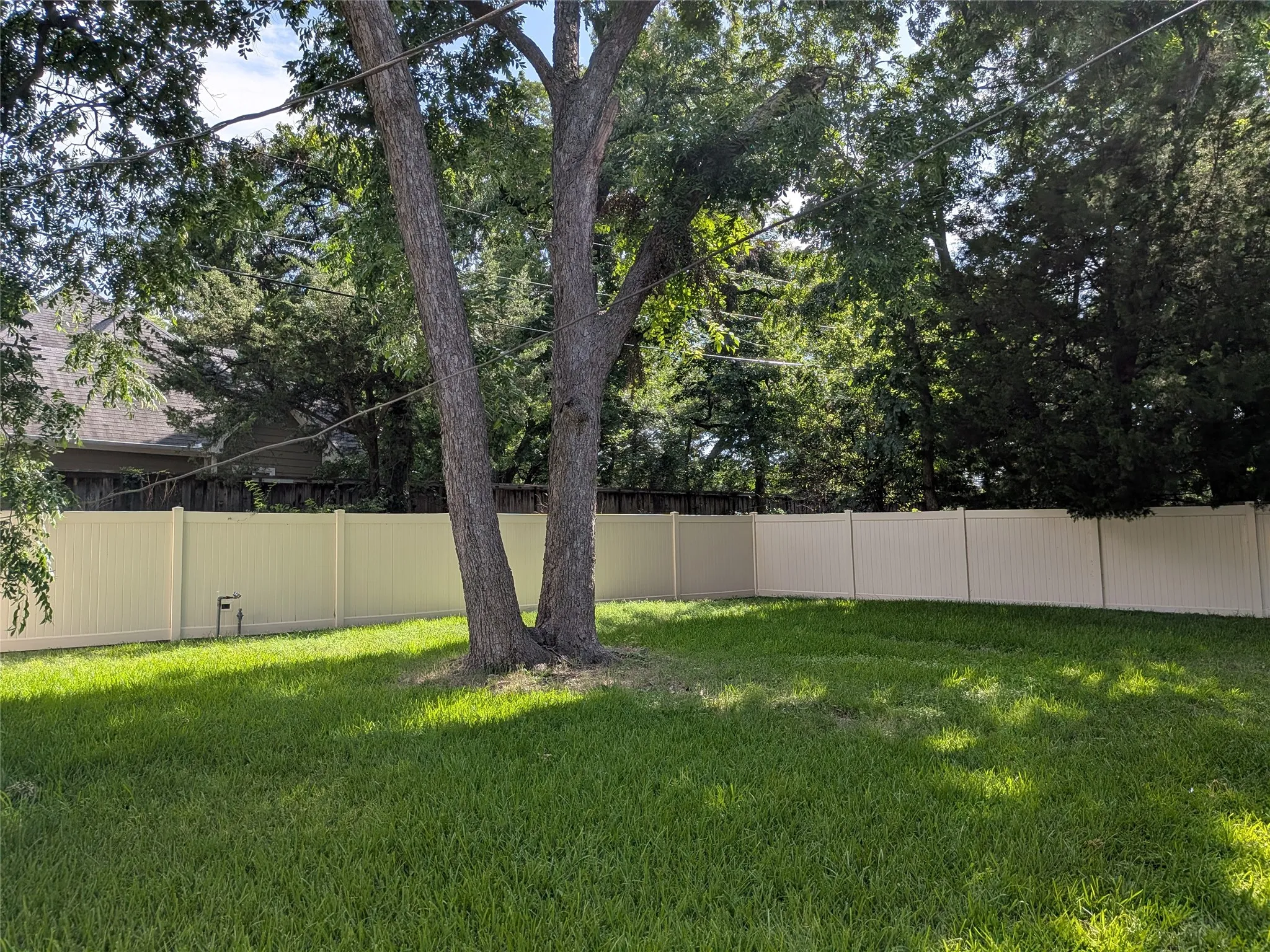 Yard