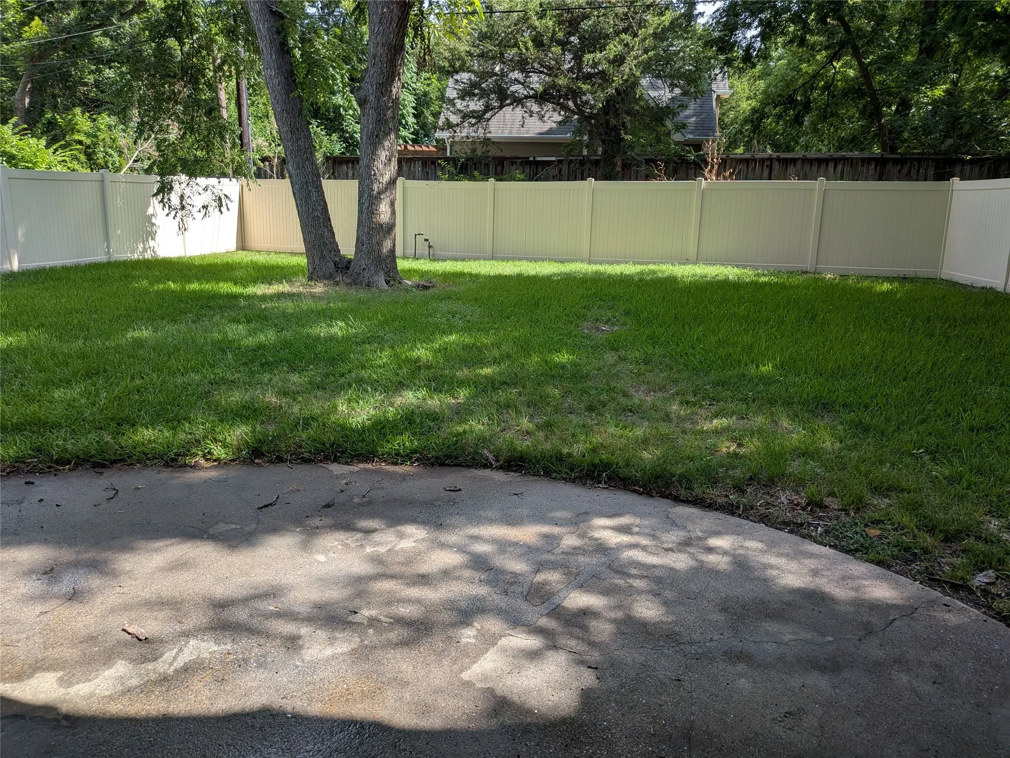 Yard