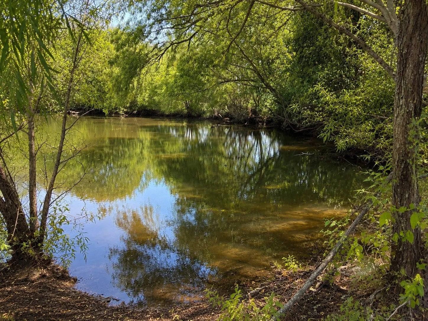 Unimproved Land For Sale in Hunt County , Tract C2-1 County Road 1140, Celeste, Texas 75423, 0, 0, Garage spaces, 0 Sqft, built in 0, mls#21325100, Real Estate Agent in Celeste, Homes For Sale in Hunt county, Homes For Sale in Celeste, Realtor in Celeste Texas, Real Estate Brokerage Independent Realty Texas, Luminita Cordes Realtor