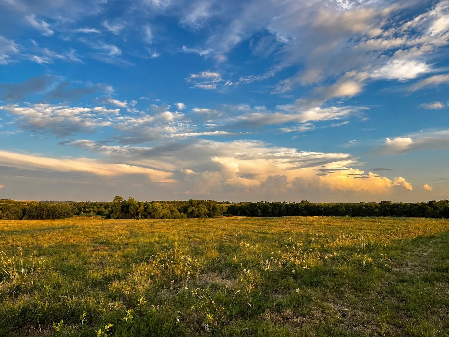 Unimproved Land For Sale in Hunt County , Tract C2-1 County Road 1140, Celeste, Texas 75423, 0, 0, Garage spaces, 0 Sqft, built in 0, mls#21325100, Real Estate Agent in Celeste, Homes For Sale in Hunt county, Homes For Sale in Celeste, Realtor in Celeste Texas, Real Estate Brokerage Independent Realty Texas, Luminita Cordes Realtor