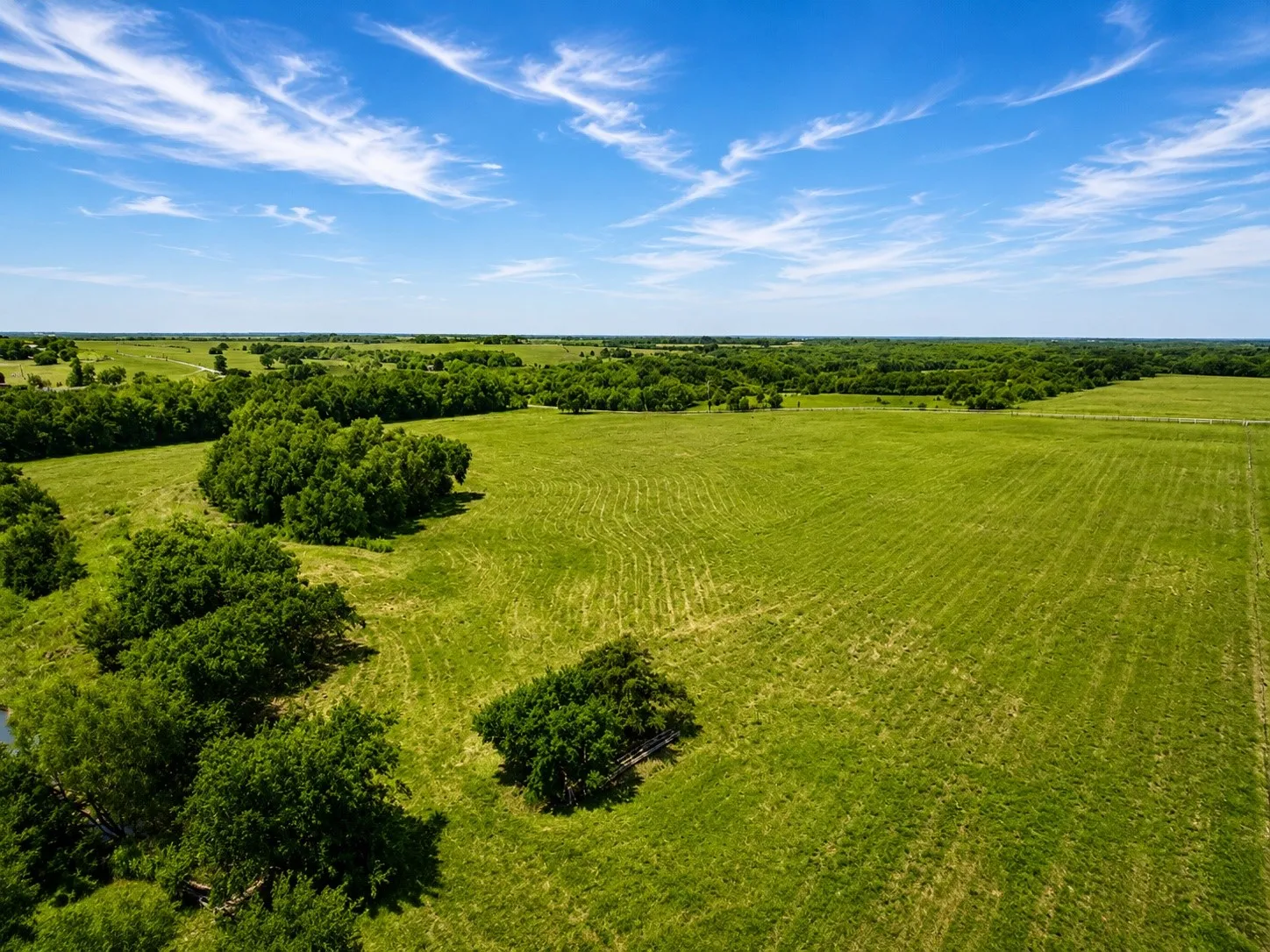 Unimproved Land For Sale in Hunt County , Tract C2-1 County Road 1140, Celeste, Texas 75423, 0, 0, Garage spaces, 0 Sqft, built in 0, mls#21325100, Real Estate Agent in Celeste, Homes For Sale in Hunt county, Homes For Sale in Celeste, Realtor in Celeste Texas, Real Estate Brokerage Independent Realty Texas, Luminita Cordes Realtor