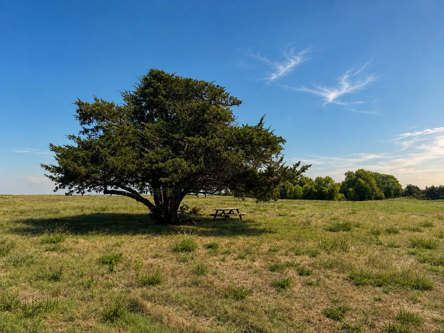 Unimproved Land For Sale in Hunt County , Tract C2-1 County Road 1140, Celeste, Texas 75423, 0, 0, Garage spaces, 0 Sqft, built in 0, mls#21325100, Real Estate Agent in Celeste, Homes For Sale in Hunt county, Homes For Sale in Celeste, Realtor in Celeste Texas, Real Estate Brokerage Independent Realty Texas, Luminita Cordes Realtor