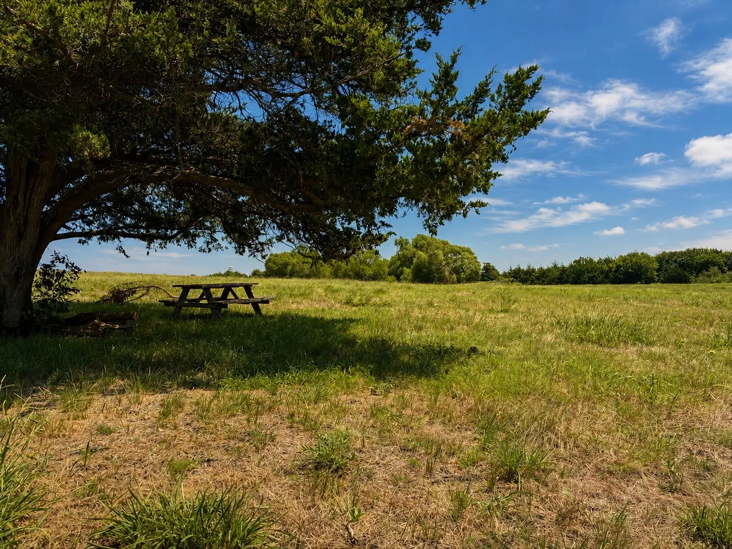 Unimproved Land For Sale in Hunt County , Tract C2-1 County Road 1140, Celeste, Texas 75423, 0, 0, Garage spaces, 0 Sqft, built in 0, mls#21325100, Real Estate Agent in Celeste, Homes For Sale in Hunt county, Homes For Sale in Celeste, Realtor in Celeste Texas, Real Estate Brokerage Independent Realty Texas, Luminita Cordes Realtor