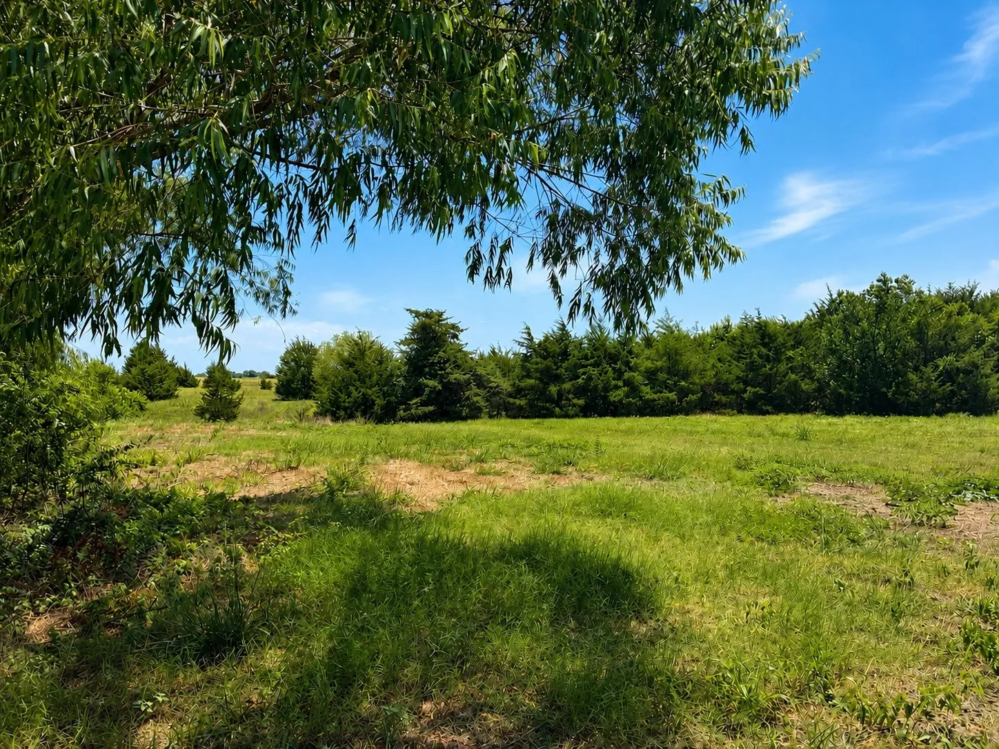 Unimproved Land For Sale in Hunt County , Tract C2-1 County Road 1140, Celeste, Texas 75423, 0, 0, Garage spaces, 0 Sqft, built in 0, mls#21325100, Real Estate Agent in Celeste, Homes For Sale in Hunt county, Homes For Sale in Celeste, Realtor in Celeste Texas, Real Estate Brokerage Independent Realty Texas, Luminita Cordes Realtor