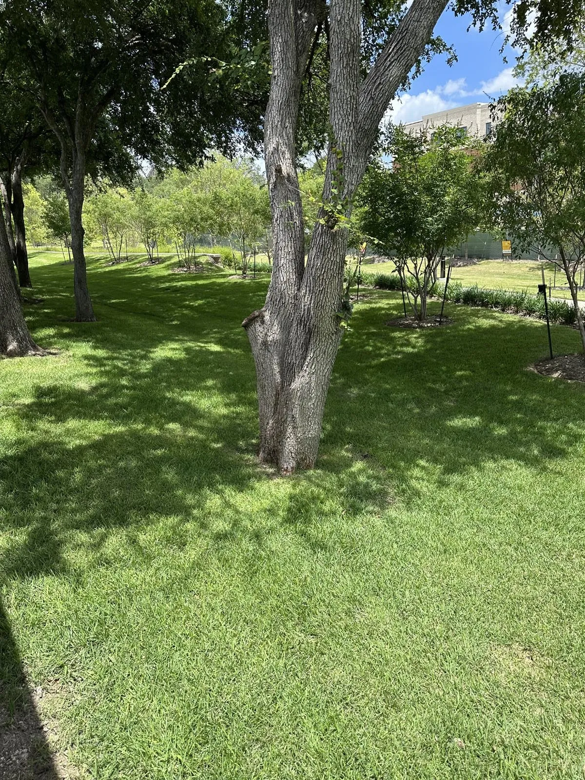 Single Family Residence For Sale in Dallas County , 4114 Leadville Place, Addison, Texas 75001, 3 Bedroom, 2 Bathroom, 2 Garage spaces, 1,868 Sqft, built in 1980, mls#21324784, Real Estate Agent in Addison, Homes For Sale in Dallas county, Homes For Sale in Addison, Realtor in Addison Texas, Real Estate Brokerage Independent Realty Texas, Luminita Cordes Realtor