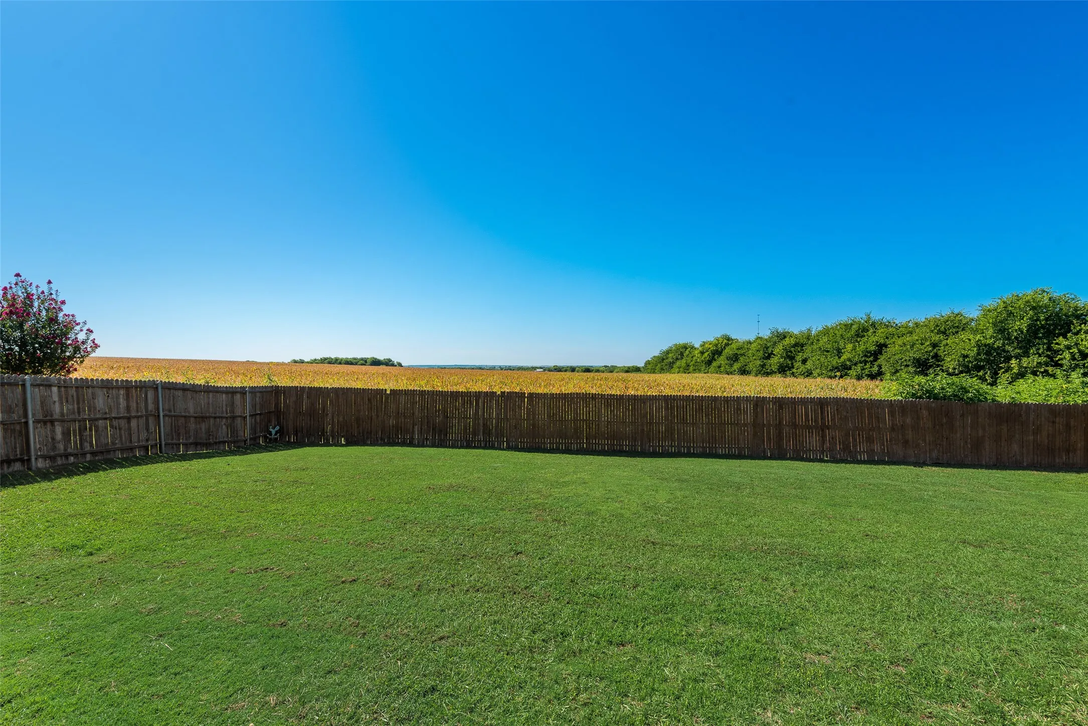 Expansive backyard featuring a lush green lawn, full wood privacy fencing, and a vibrant flowering shrub