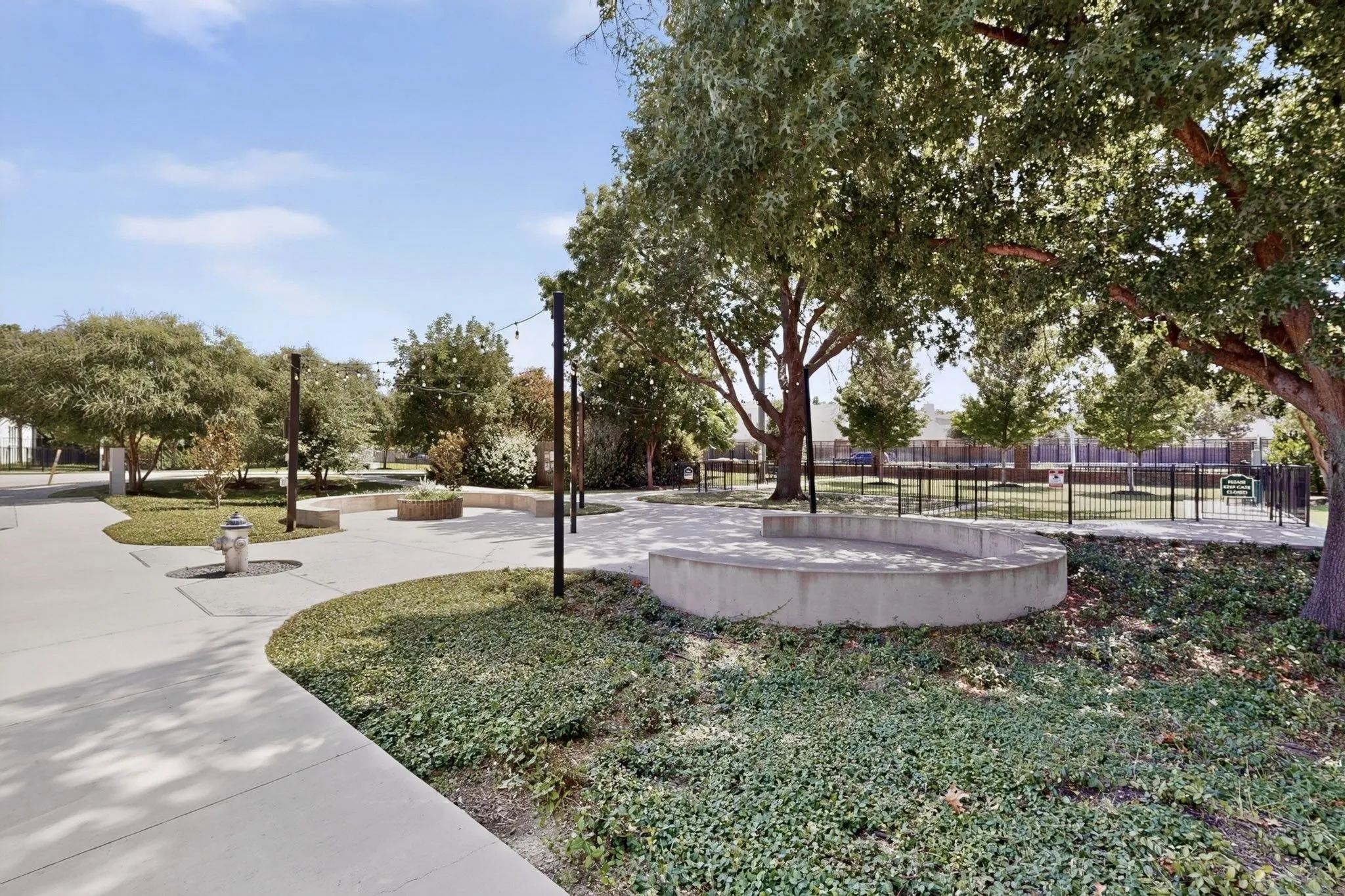 Outdoor communal area featuring concrete pathways, established trees, string lighting, a curved concrete bench, and ground cover landscaping