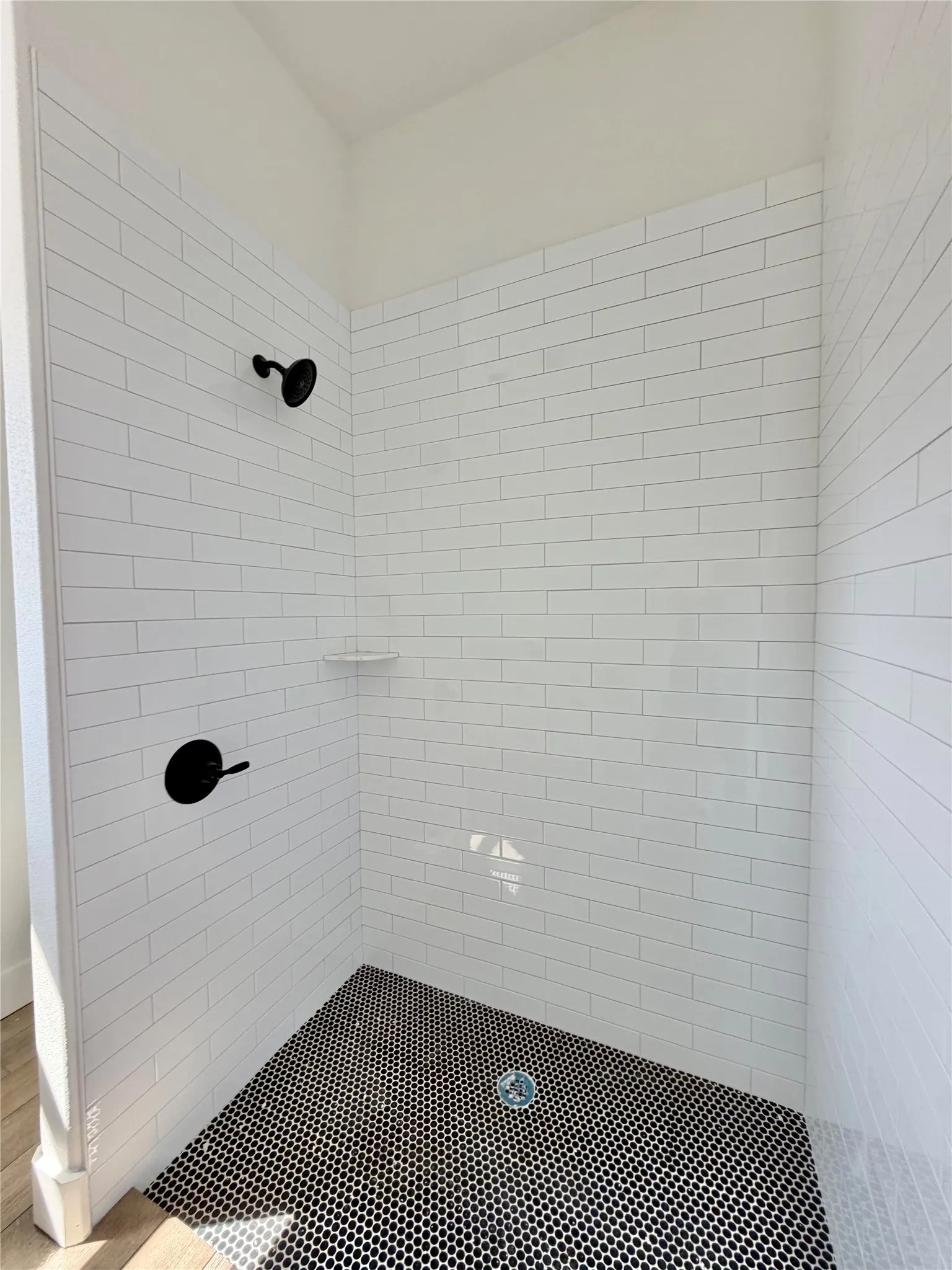 Huge shower in the ADU