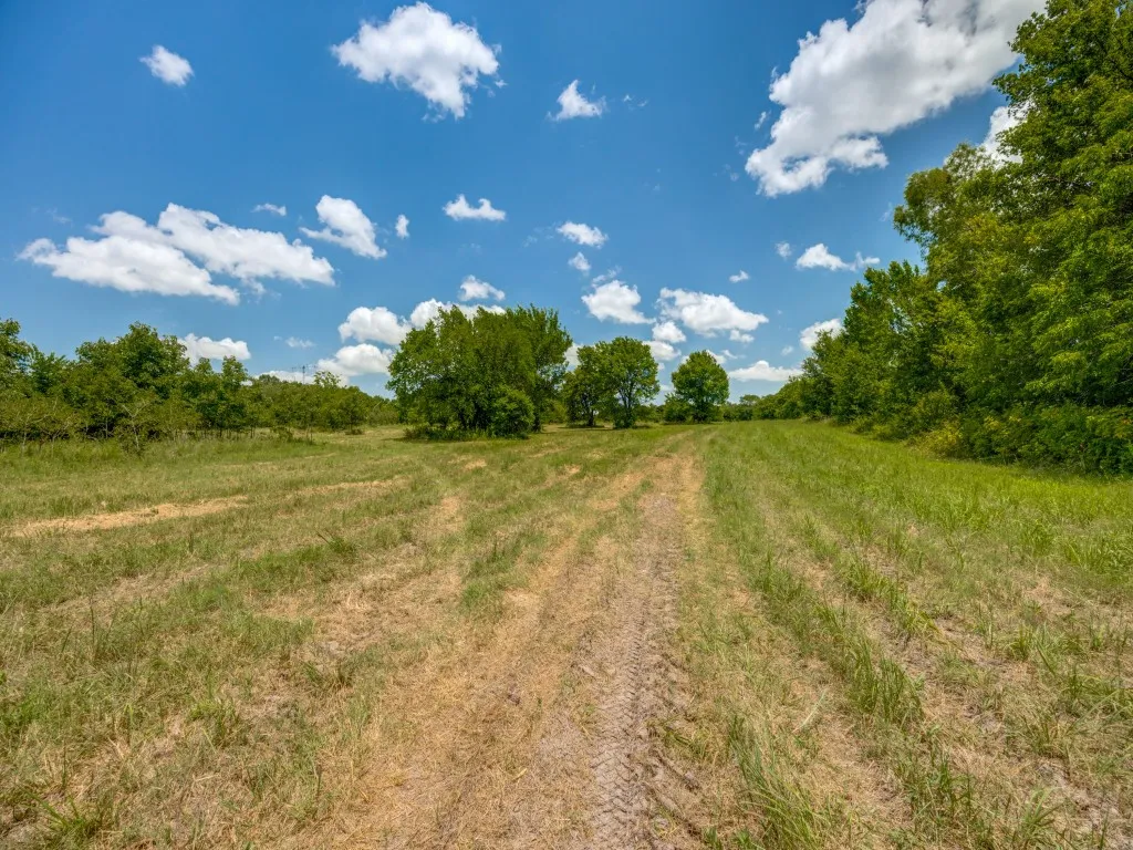 Ranch For Sale in Hunt County , TBD County Road 1110, Celeste, Texas 75423, 0, 0, Garage spaces, 0 Sqft, built in 1987, Price $1,095,000, mls#21324995, Real Estate Agent in Celeste, Homes For Sale in Hunt county, Homes For Sale in Celeste, Realtor in Celeste Texas, Real Estate Brokerage Independent Realty Texas, Luminita Cordes Realtor