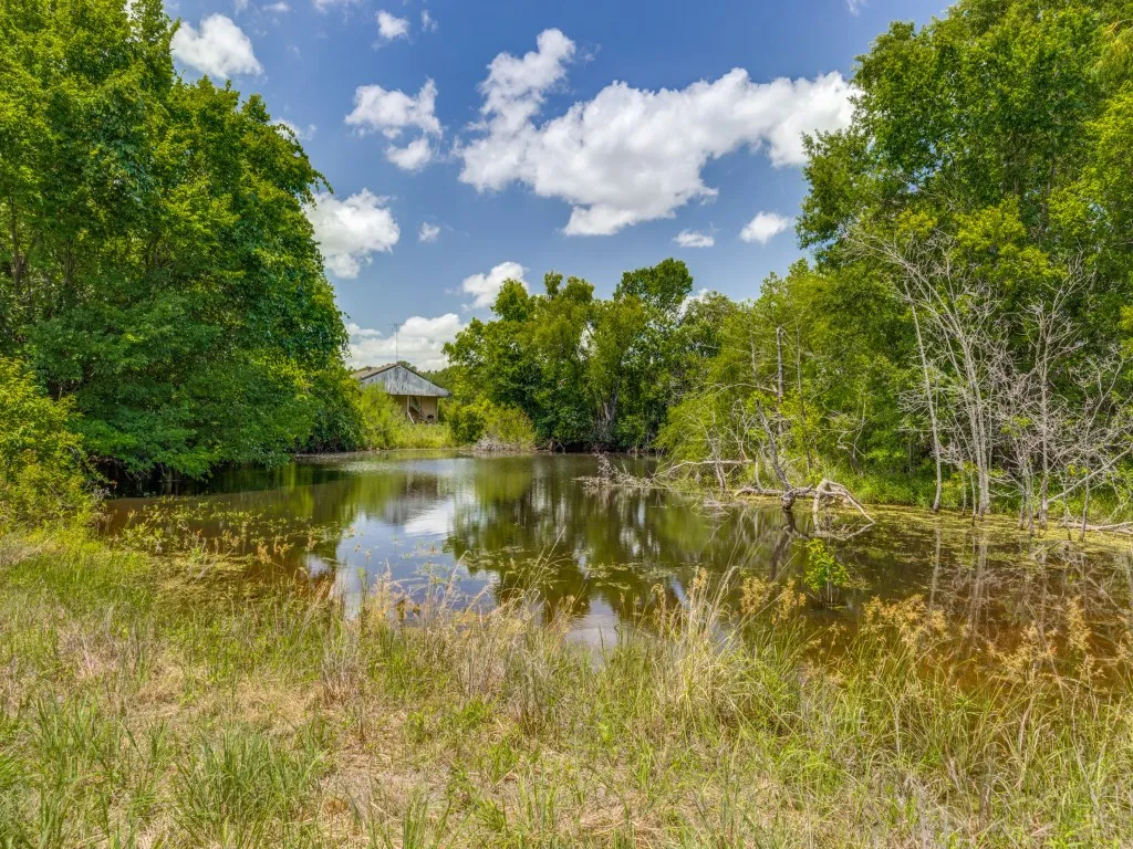 Ranch For Sale in Hunt County , TBD County Road 1110, Celeste, Texas 75423, 0, 0, Garage spaces, 0 Sqft, built in 1987, Price $1,095,000, mls#21324995, Real Estate Agent in Celeste, Homes For Sale in Hunt county, Homes For Sale in Celeste, Realtor in Celeste Texas, Real Estate Brokerage Independent Realty Texas, Luminita Cordes Realtor