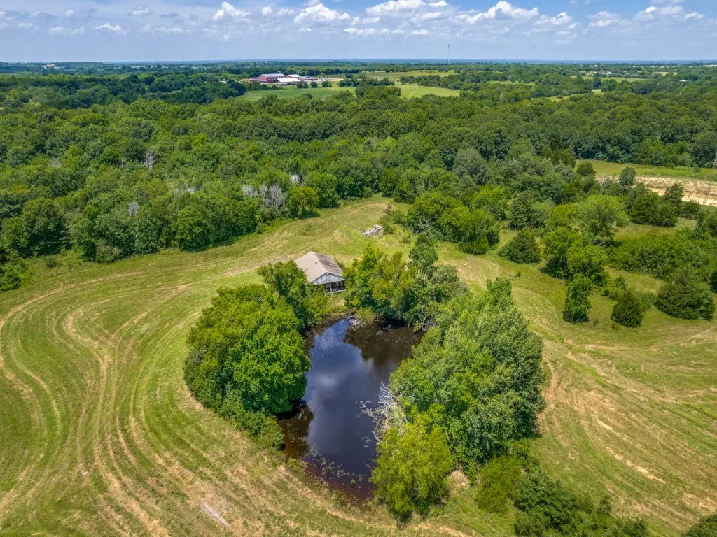 Ranch For Sale in Hunt County , TBD County Road 1110, Celeste, Texas 75423, 0, 0, Garage spaces, 0 Sqft, built in 1987, Price $1,095,000, mls#21324995, Real Estate Agent in Celeste, Homes For Sale in Hunt county, Homes For Sale in Celeste, Realtor in Celeste Texas, Real Estate Brokerage Independent Realty Texas, Luminita Cordes Realtor