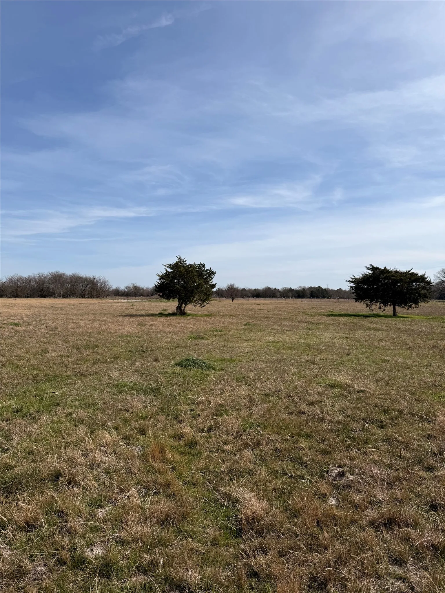 Unimproved Land For Sale in Kaufman County , Lot 1 Cr-4043, Kemp, Texas 75143, 0, 0, Garage spaces, 0 Sqft, built in 0, mls#21325654, Real Estate Agent in Kemp, Homes For Sale in Kaufman county, Homes For Sale in Kemp, Realtor in Kemp Texas, Real Estate Brokerage Independent Realty Texas, Luminita Cordes Realtor