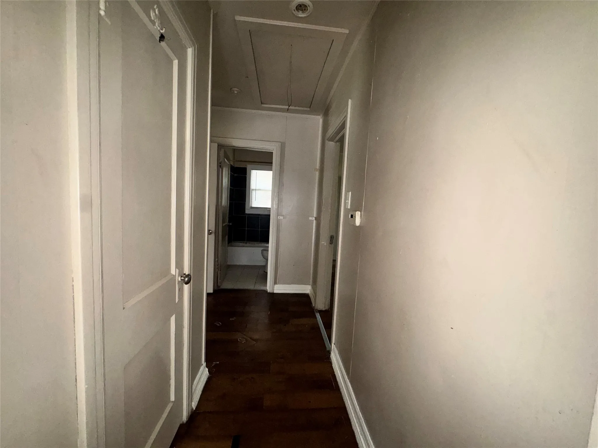 Interior hallway featuring wood-finish flooring, light-colored walls, and multiple panel doors