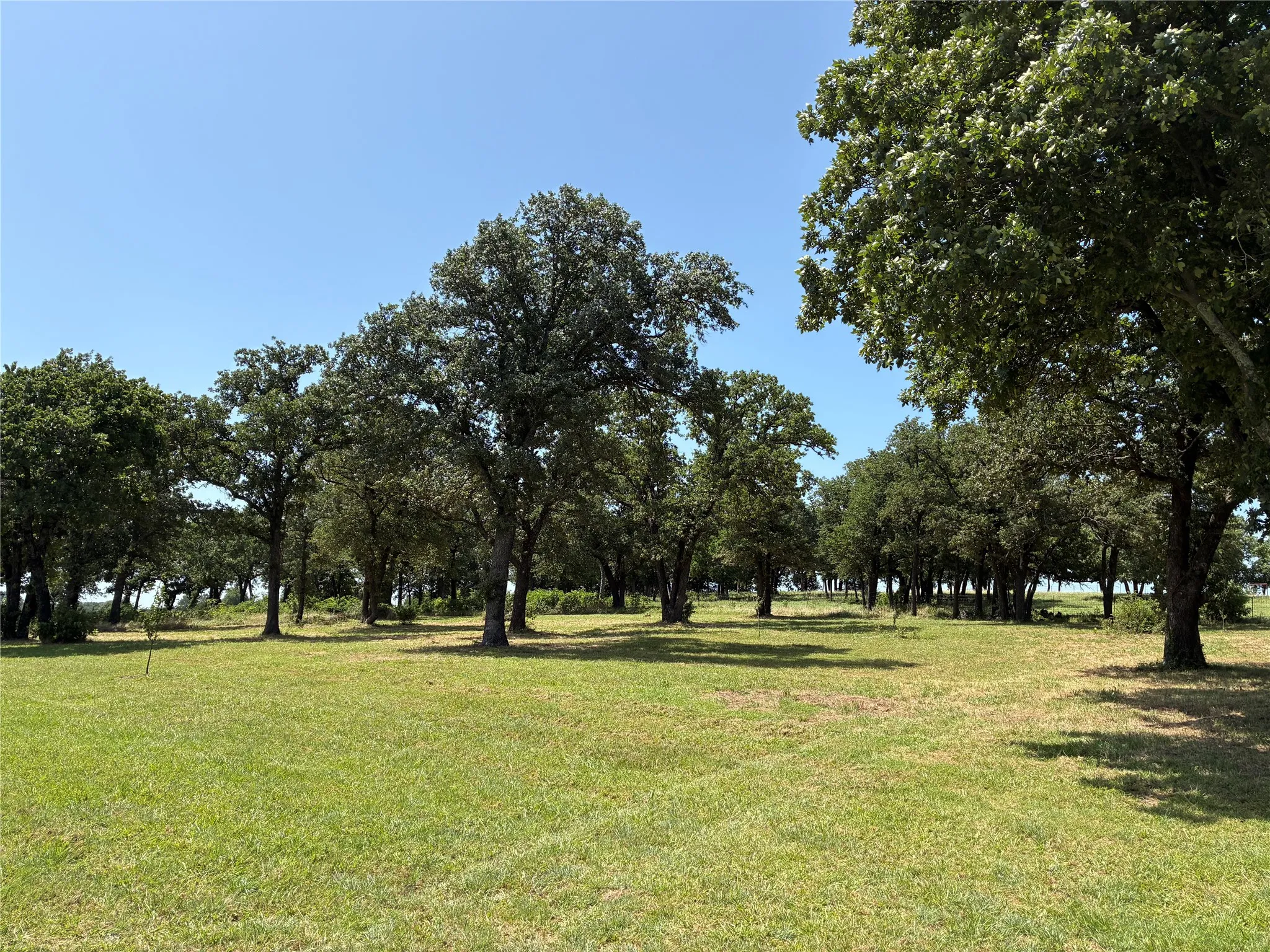 Unimproved Land For Sale in Cooke County , 3710 FM 371, Gainesville, Texas 76240, 0, 0, Garage spaces, 0 Sqft, built in 0, Price $319,900, mls#21326384, Real Estate Agent in Gainesville, Homes For Sale in Cooke county, Homes For Sale in Gainesville, Realtor in Gainesville Texas, Real Estate Brokerage Independent Realty Texas, Luminita Cordes Realtor