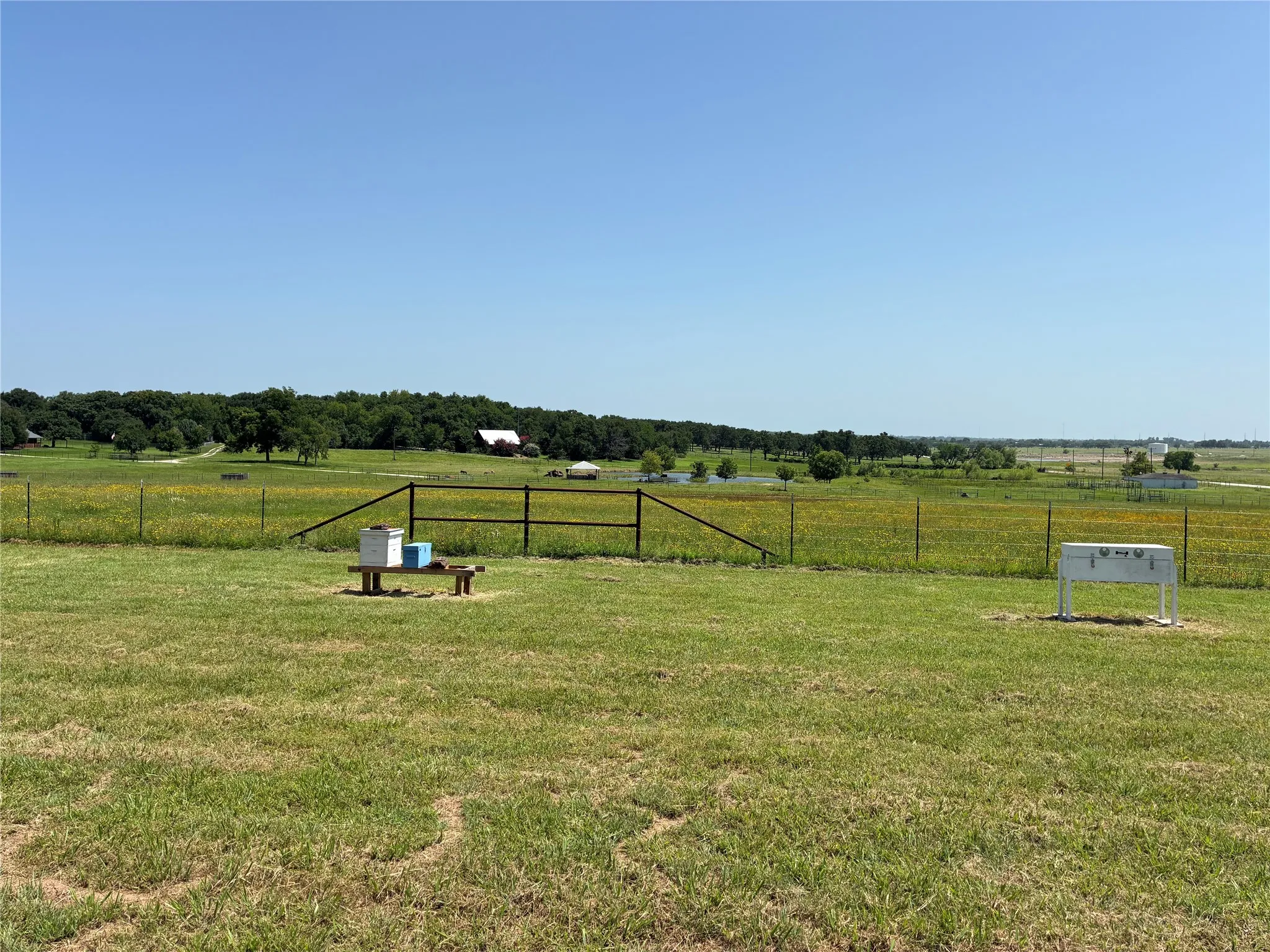 Unimproved Land For Sale in Cooke County , 3710 FM 371, Gainesville, Texas 76240, 0, 0, Garage spaces, 0 Sqft, built in 0, Price $319,900, mls#21326384, Real Estate Agent in Gainesville, Homes For Sale in Cooke county, Homes For Sale in Gainesville, Realtor in Gainesville Texas, Real Estate Brokerage Independent Realty Texas, Luminita Cordes Realtor