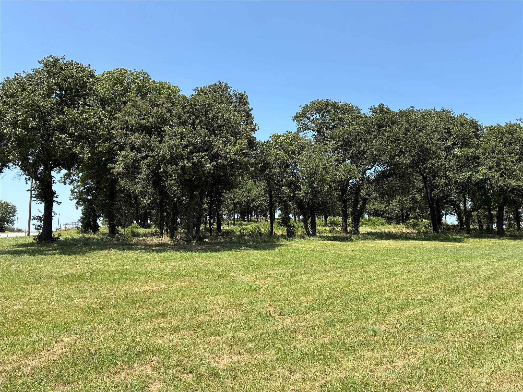 Unimproved Land For Sale in Cooke County , 3710 FM 371, Gainesville, Texas 76240, 0, 0, Garage spaces, 0 Sqft, built in 0, Price $319,900, mls#21326384, Real Estate Agent in Gainesville, Homes For Sale in Cooke county, Homes For Sale in Gainesville, Realtor in Gainesville Texas, Real Estate Brokerage Independent Realty Texas, Luminita Cordes Realtor