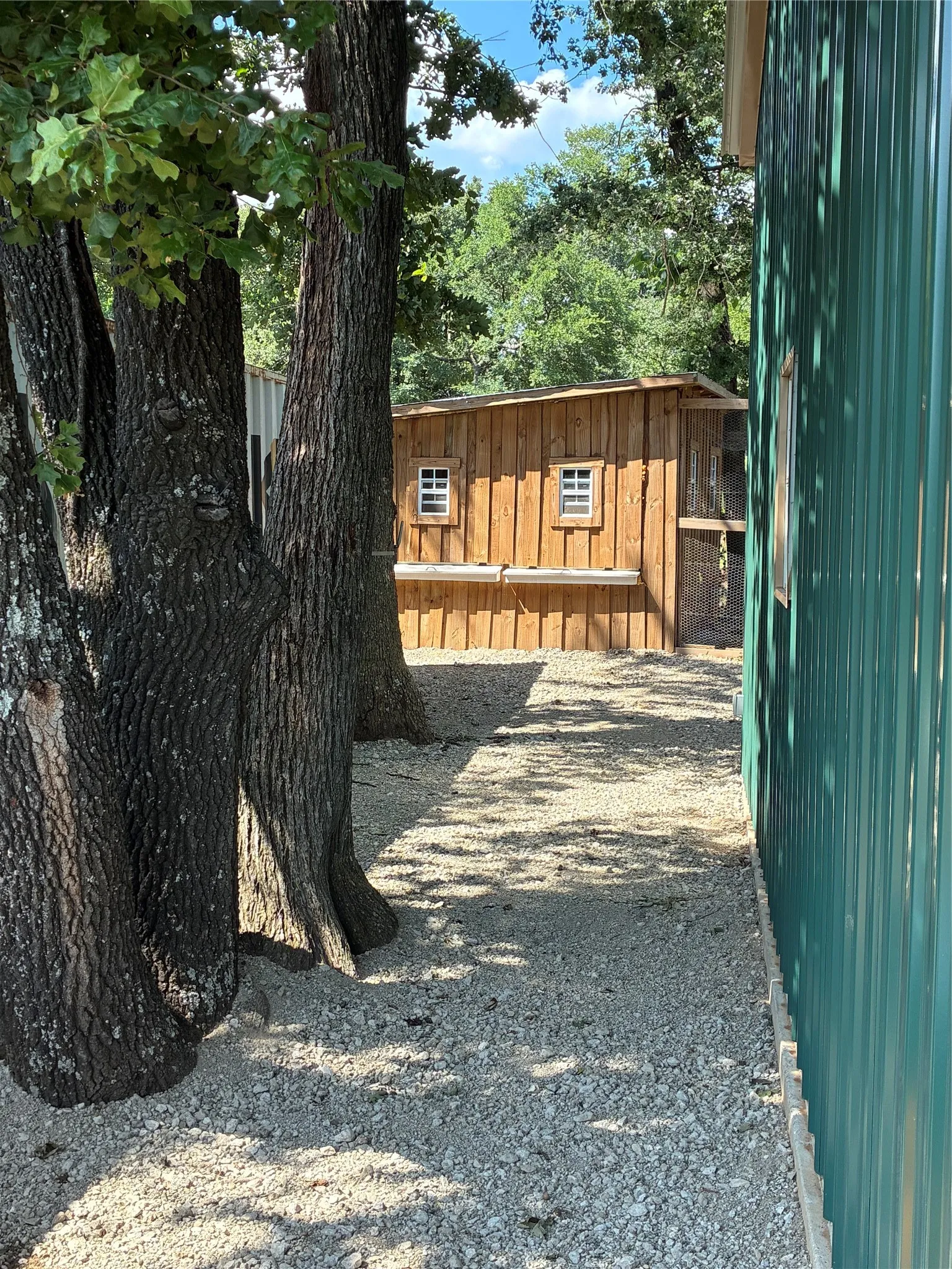 Unimproved Land For Sale in Cooke County , 3710 FM 371, Gainesville, Texas 76240, 0, 0, Garage spaces, 0 Sqft, built in 0, Price $319,900, mls#21326384, Real Estate Agent in Gainesville, Homes For Sale in Cooke county, Homes For Sale in Gainesville, Realtor in Gainesville Texas, Real Estate Brokerage Independent Realty Texas, Luminita Cordes Realtor