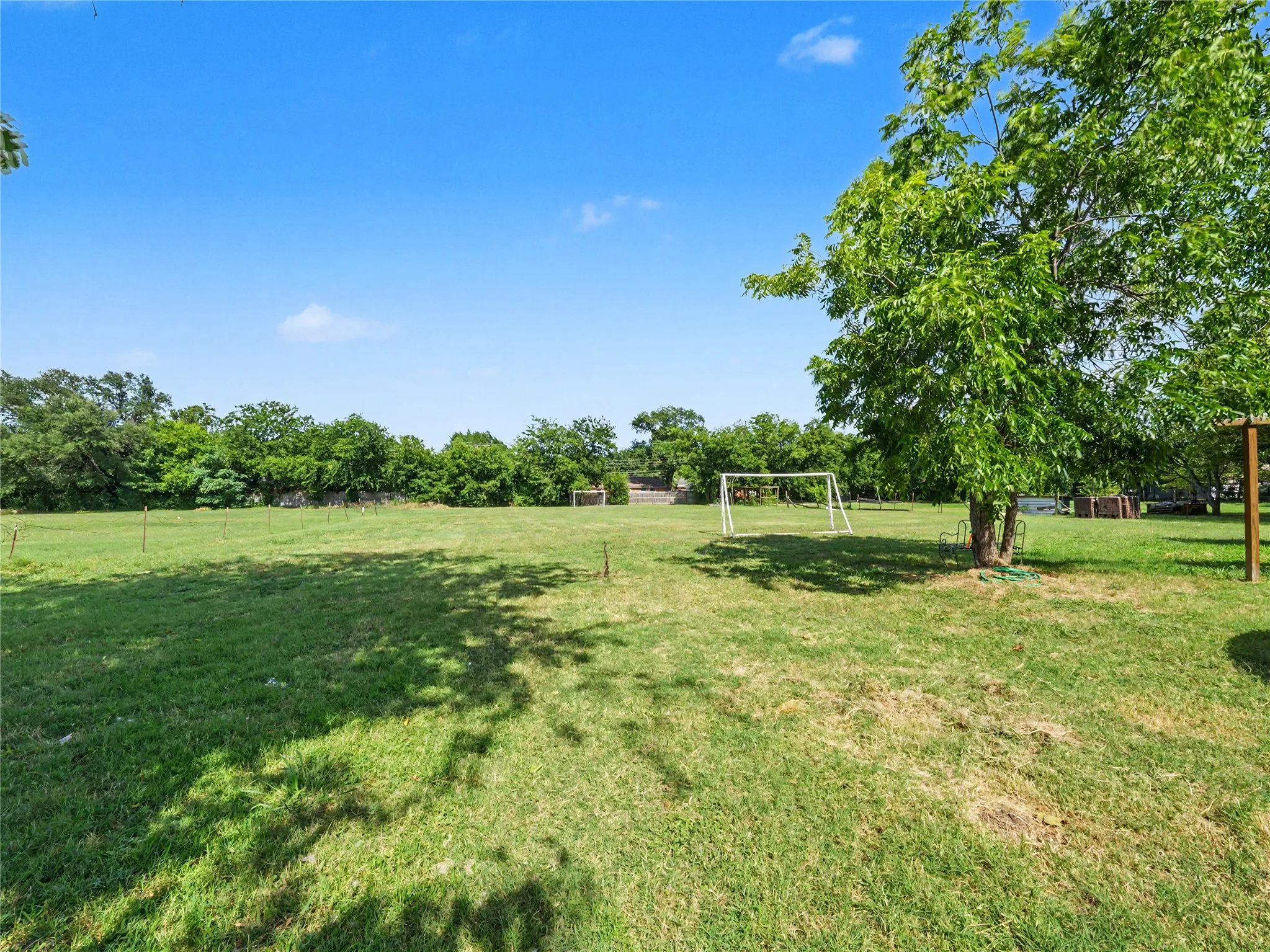 Expansive green space featuring mature trees and a clear blue sky