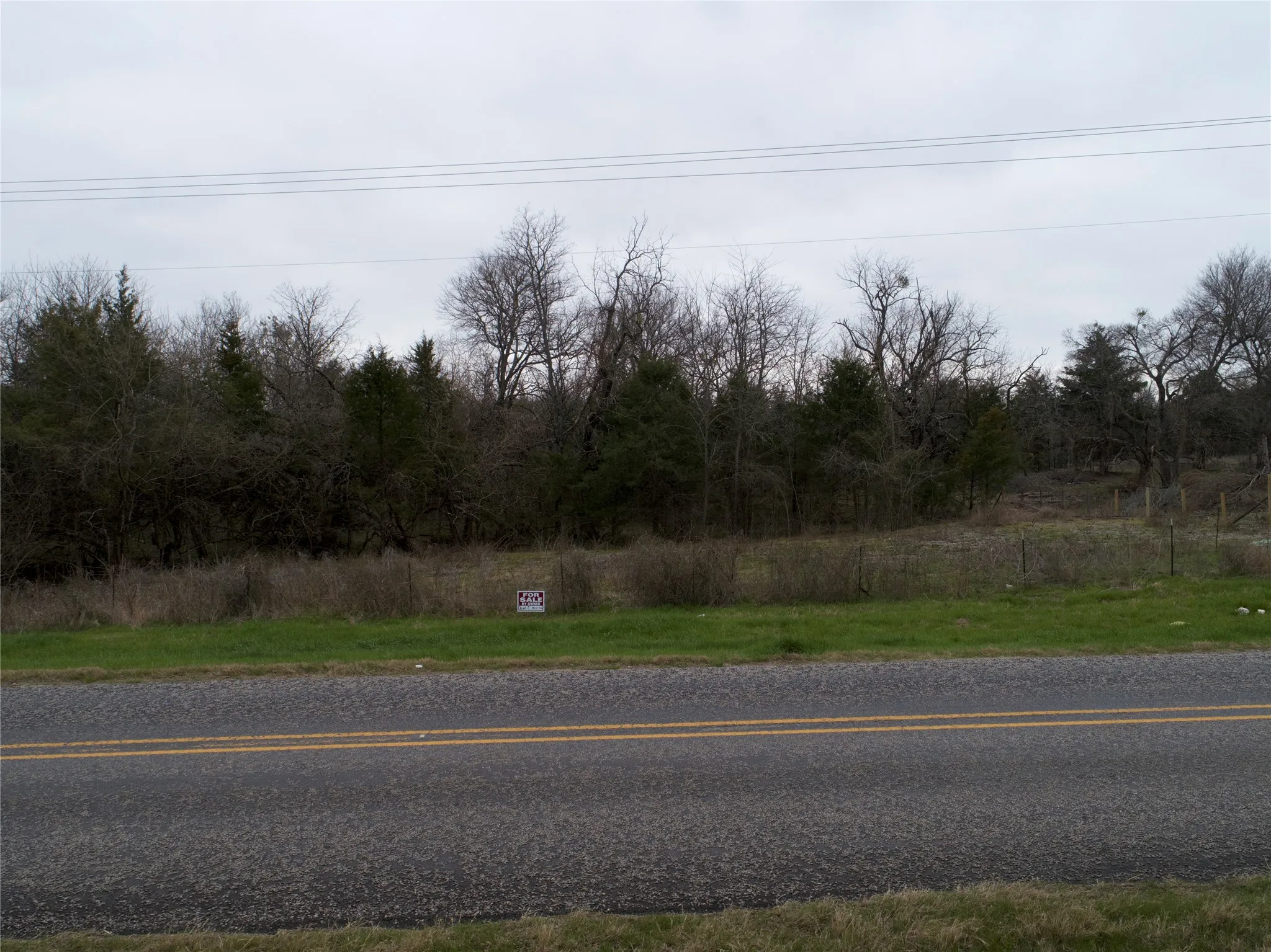 Wooded lot featuring mature trees and a grassy roadside frontage