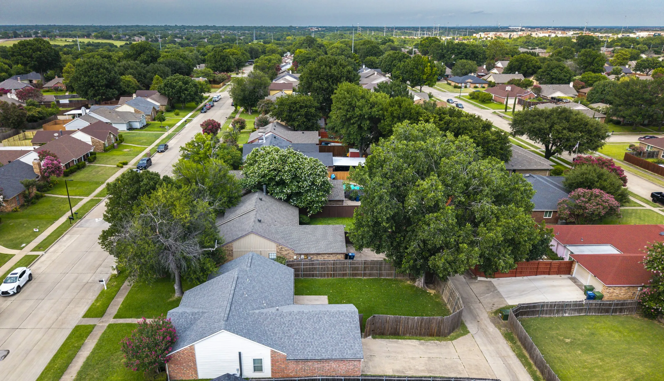 Residential streetscape featuring mature trees, uniform roofing, and varied home exteriors