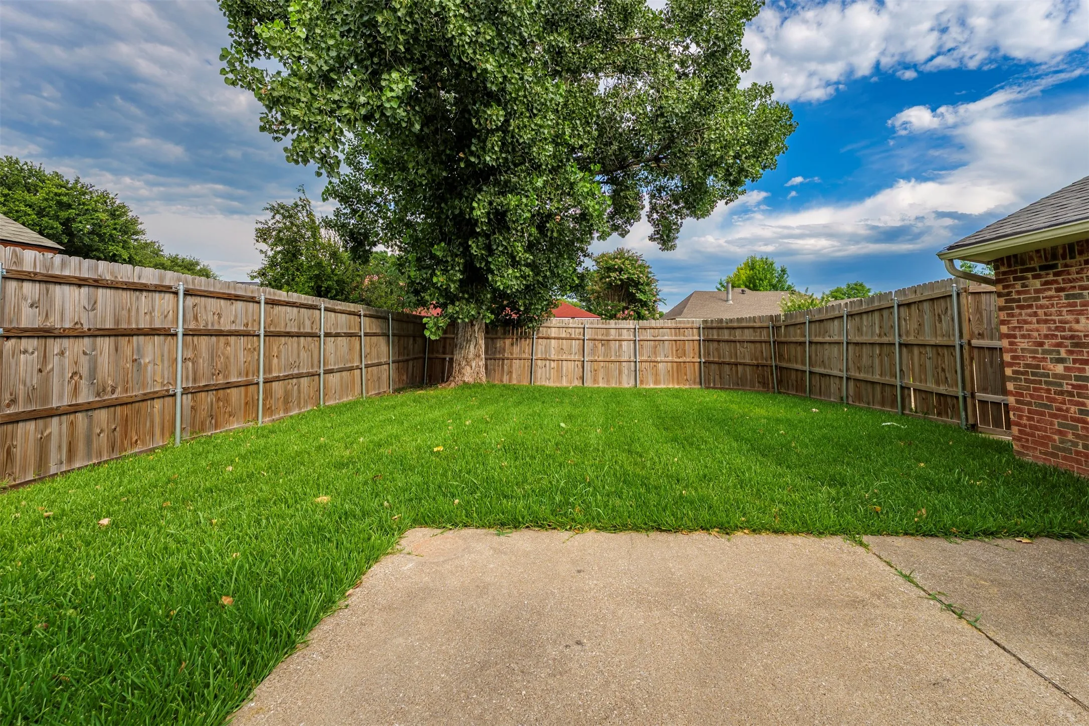 Expansive backyard featuring a lush lawn, concrete patio, and a mature shade tree