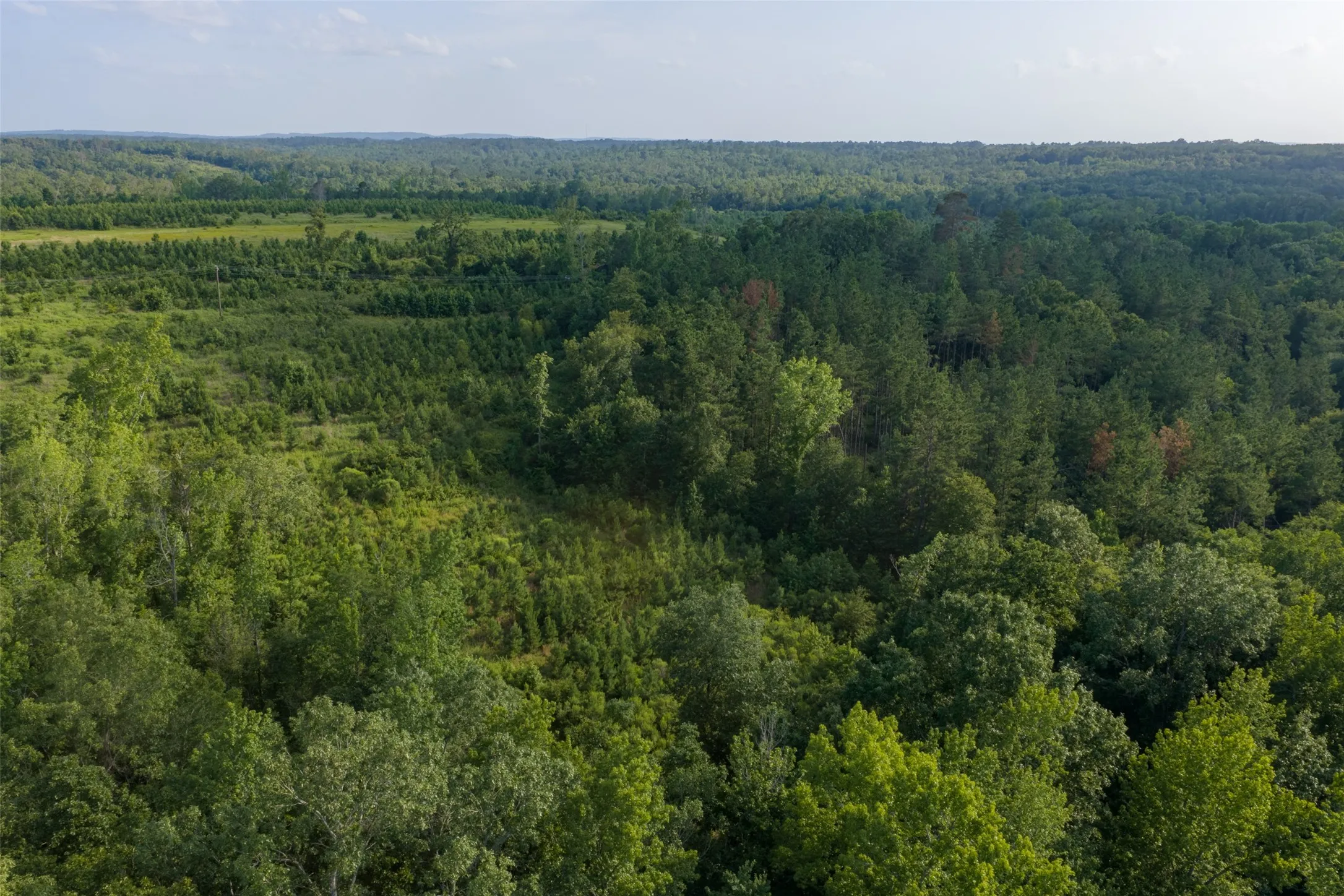 Unimproved Land For Sale in Rusk County , 00 County Road 436, Laneville, Texas 75667, 0, 0, Garage spaces, 0 Sqft, built in 0, mls#21326431, Real Estate Agent in Laneville, Homes For Sale in Rusk county, Homes For Sale in Laneville, Realtor in Laneville Texas, Real Estate Brokerage Independent Realty Texas, Luminita Cordes Realtor