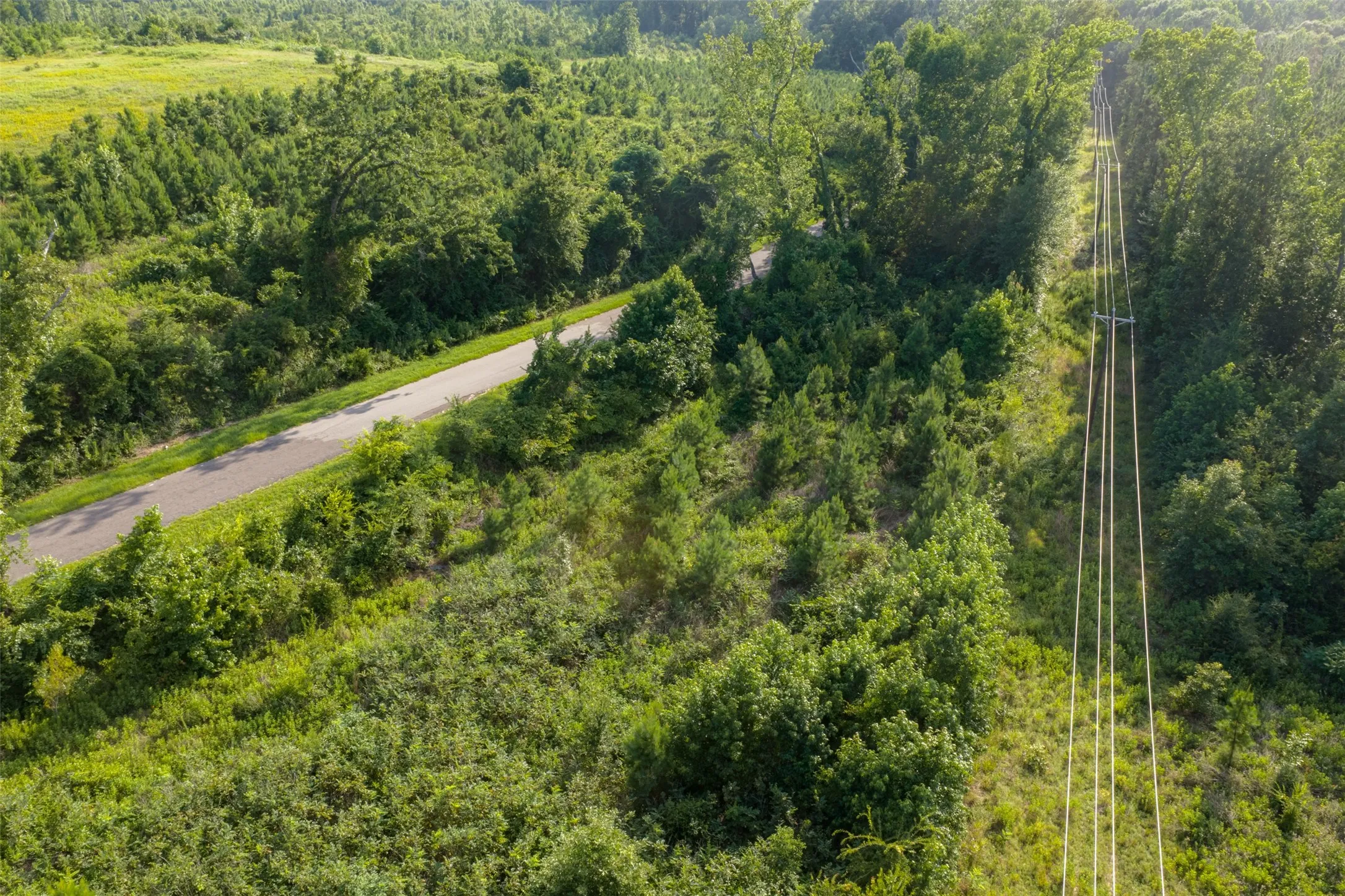 Unimproved Land For Sale in Rusk County , 00 County Road 436, Laneville, Texas 75667, 0, 0, Garage spaces, 0 Sqft, built in 0, mls#21326431, Real Estate Agent in Laneville, Homes For Sale in Rusk county, Homes For Sale in Laneville, Realtor in Laneville Texas, Real Estate Brokerage Independent Realty Texas, Luminita Cordes Realtor