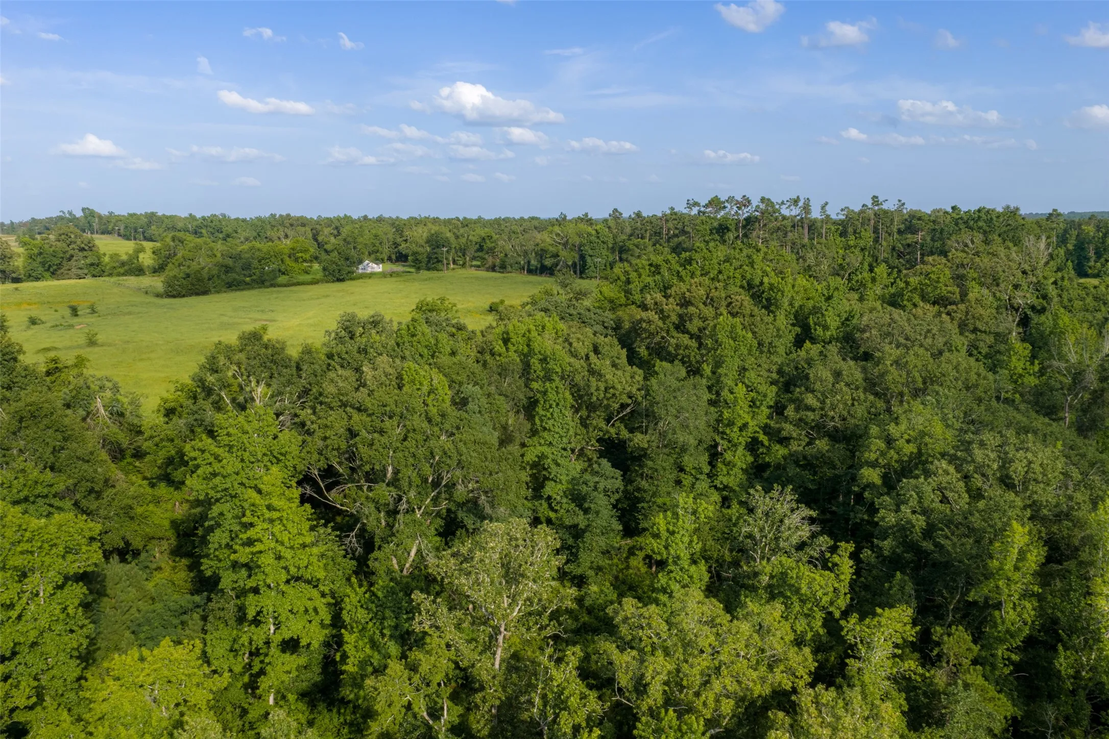 Unimproved Land For Sale in Rusk County , 00 County Road 436, Laneville, Texas 75667, 0, 0, Garage spaces, 0 Sqft, built in 0, mls#21326431, Real Estate Agent in Laneville, Homes For Sale in Rusk county, Homes For Sale in Laneville, Realtor in Laneville Texas, Real Estate Brokerage Independent Realty Texas, Luminita Cordes Realtor